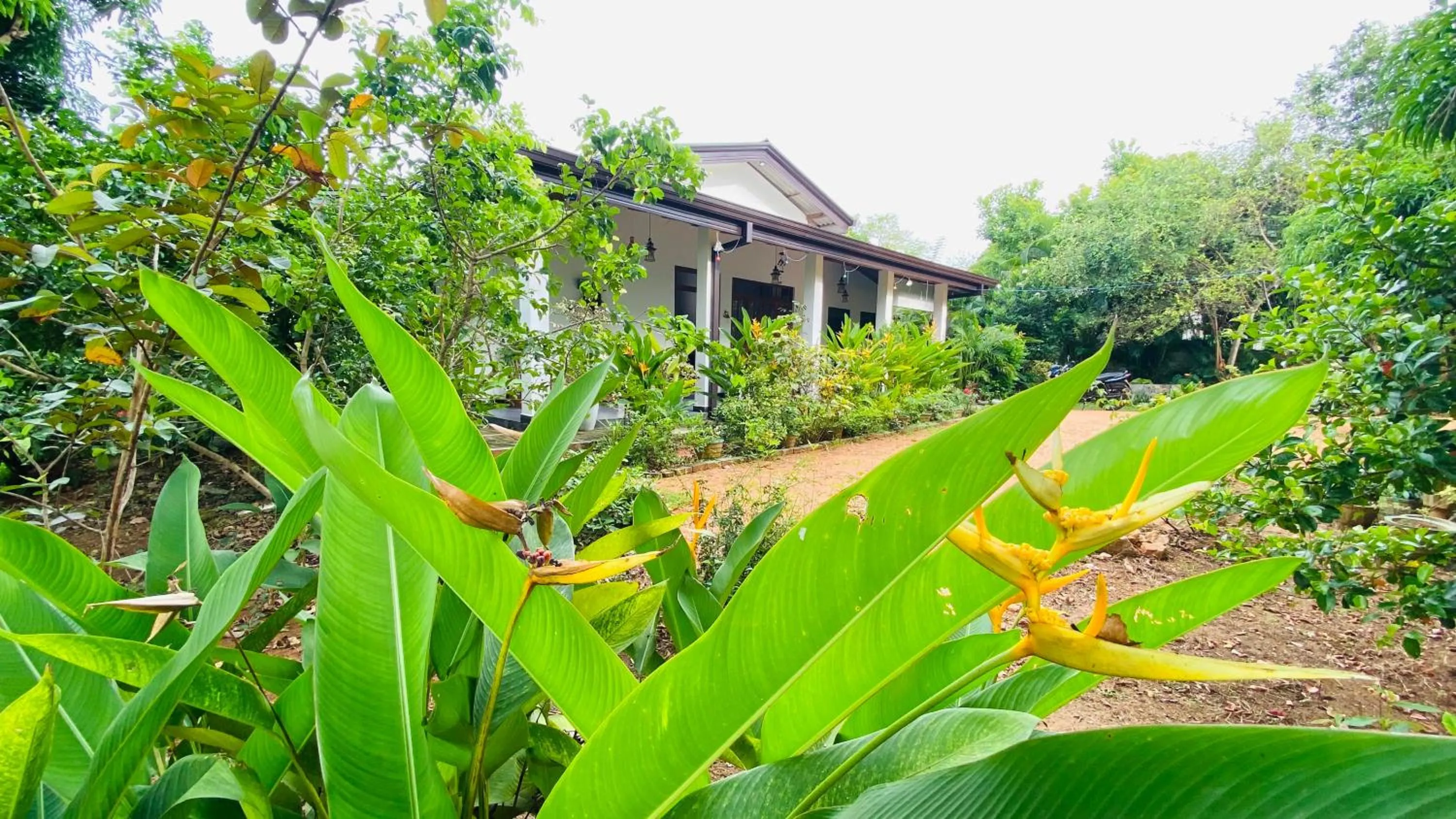Property building in Fairview Dill homestay