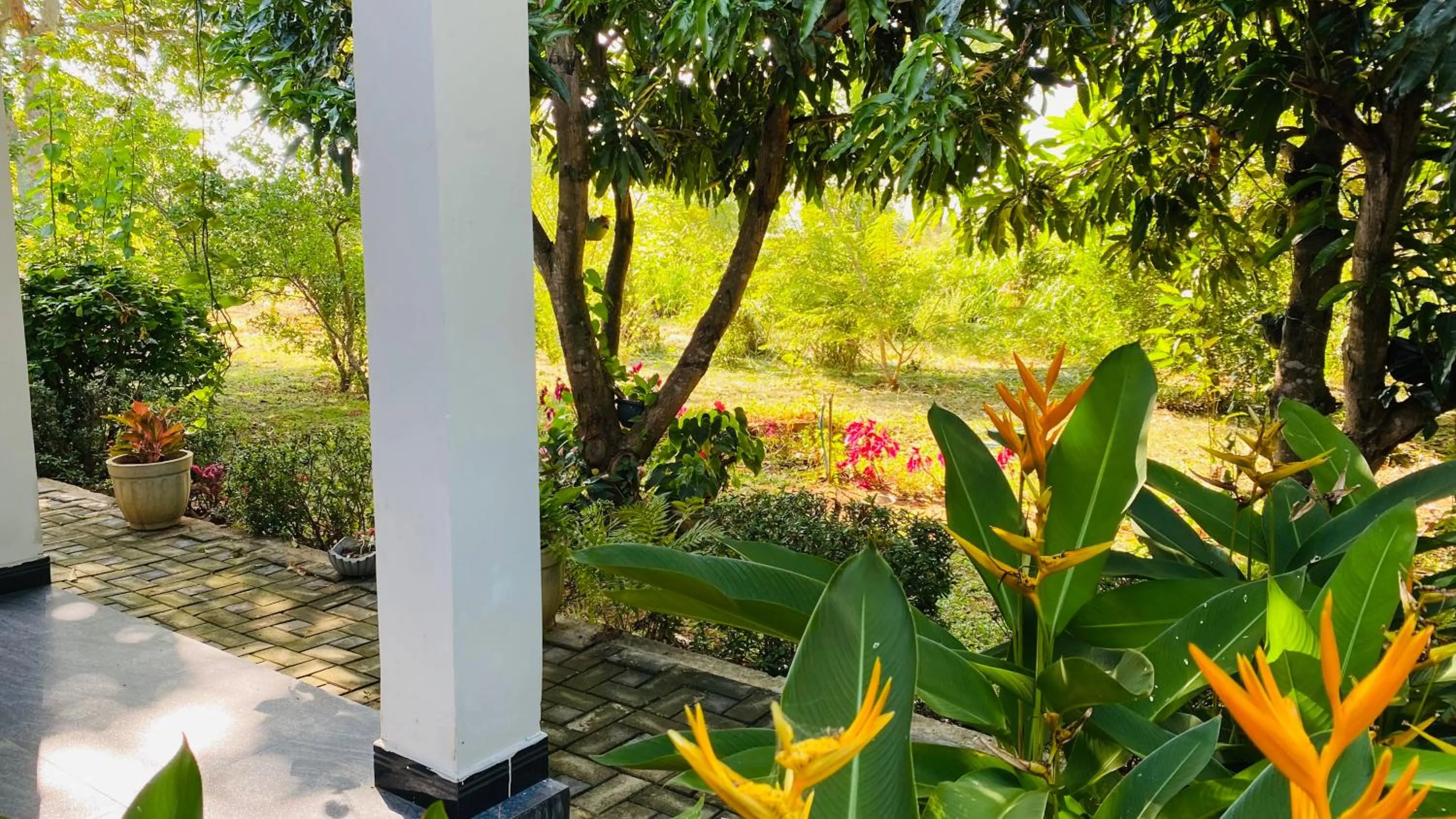 View (from property/room) in Fairview Dill homestay