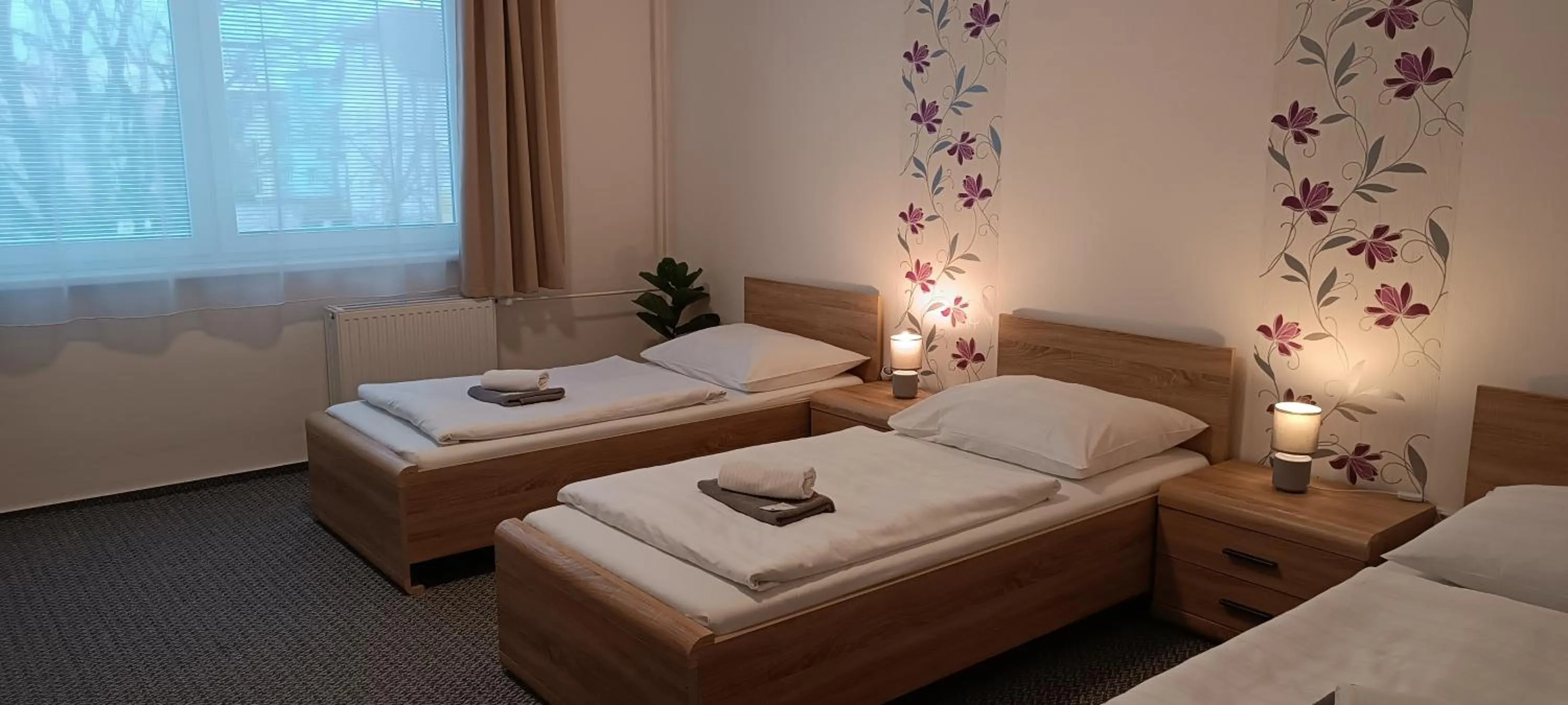 Triple Room - single occupancy in Penzion Starr