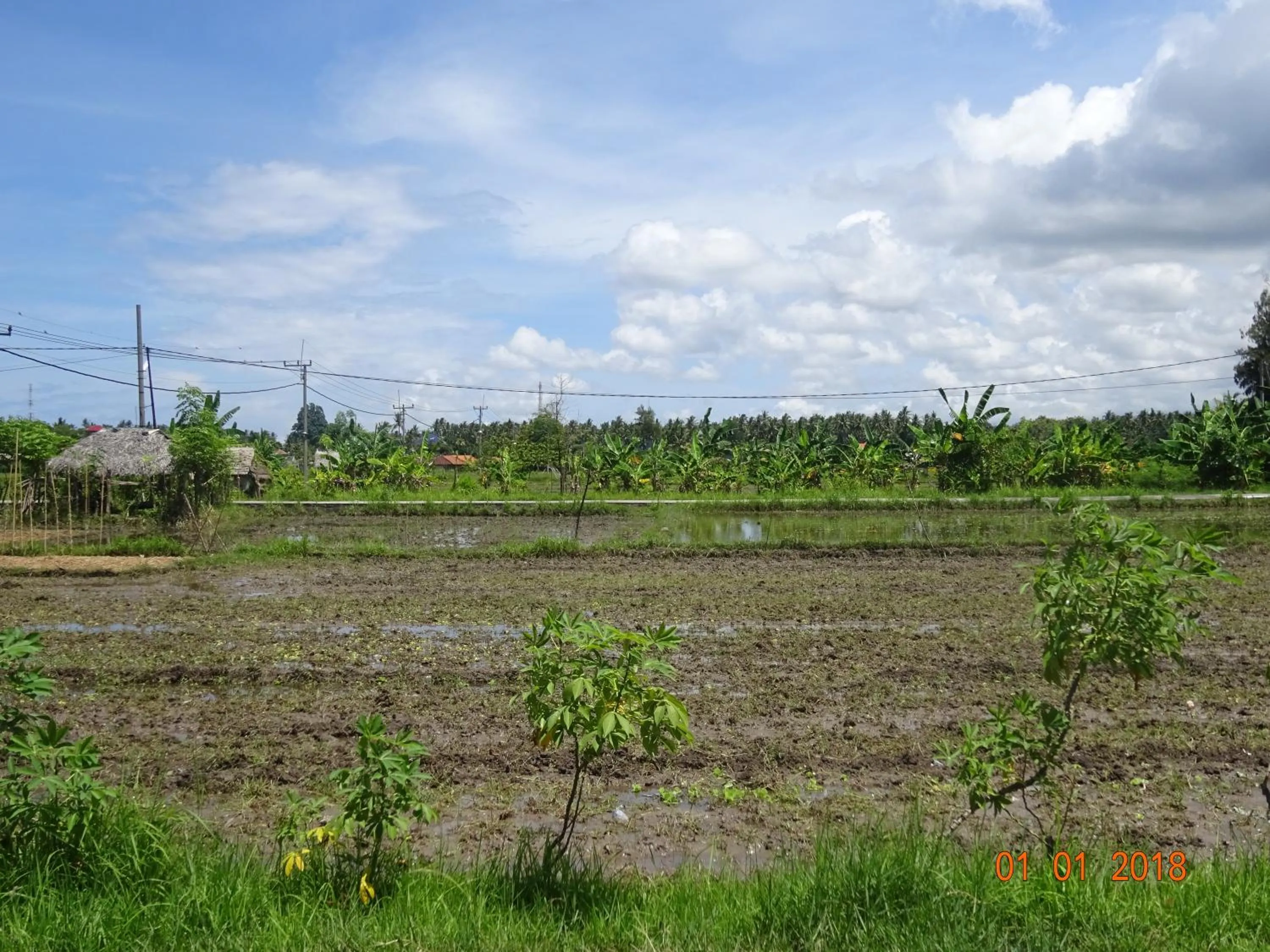 Property building in Murnis Bungalow