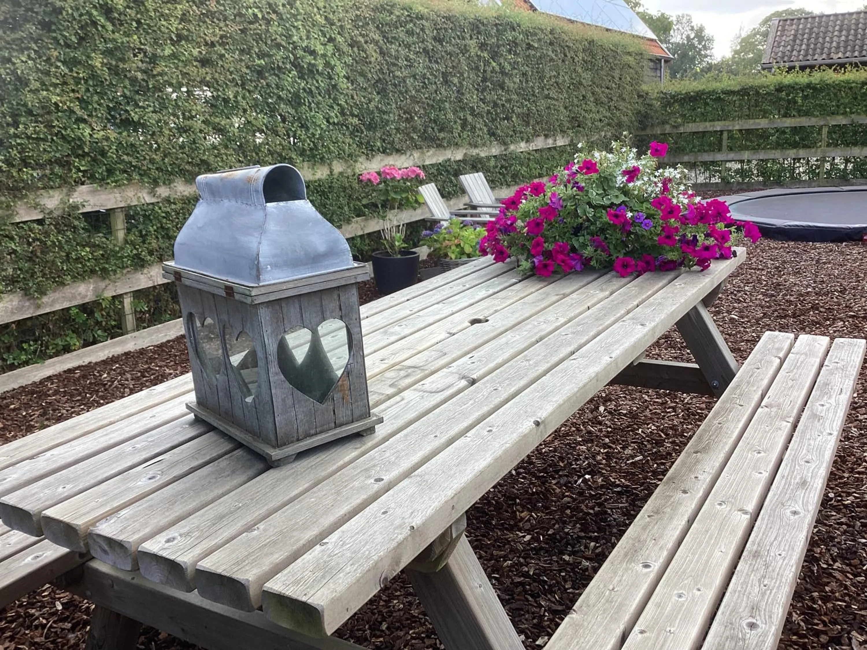 Garden in B&B De Meidoornhof