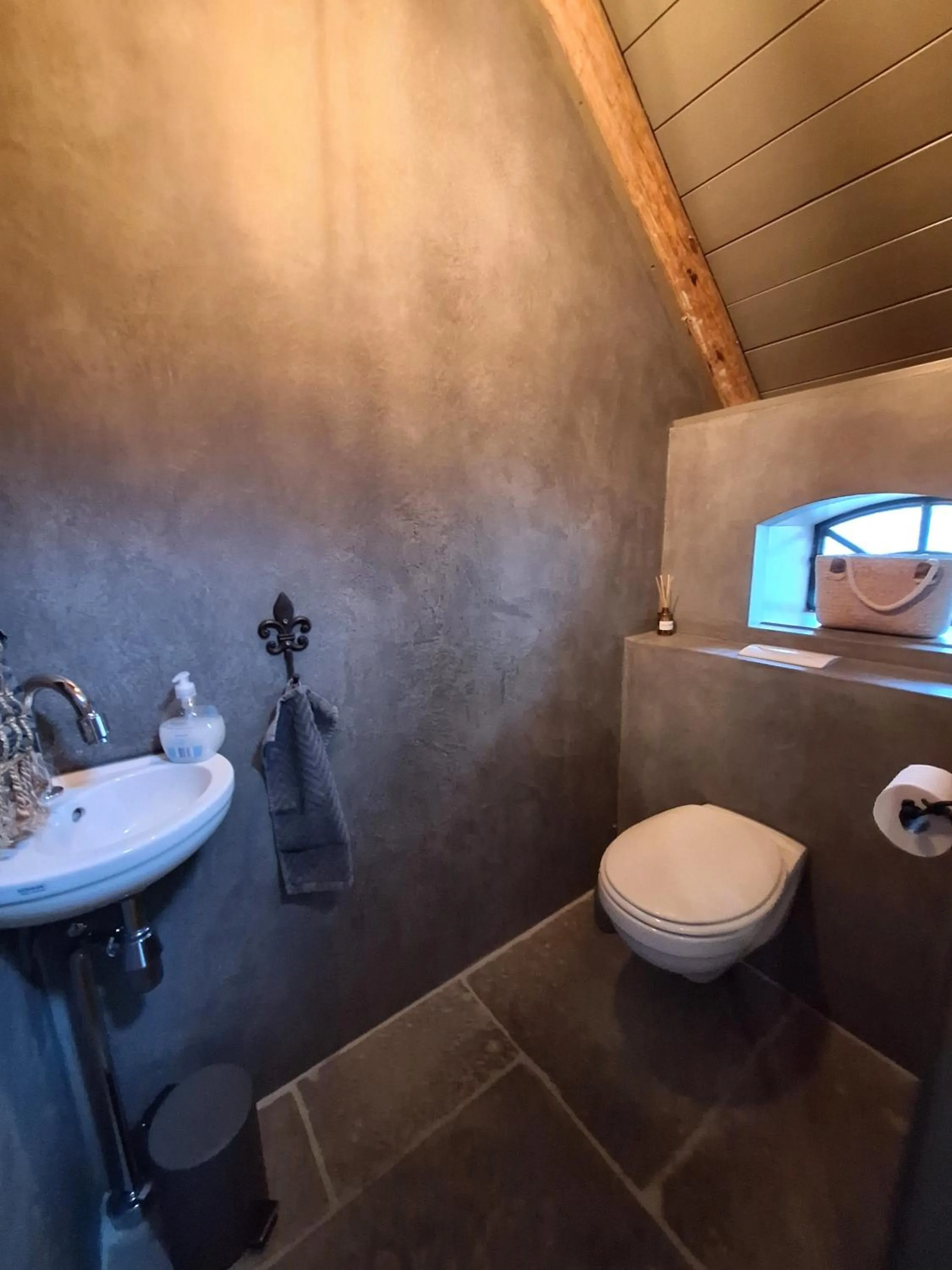 Toilet in B&B De Meidoornhof