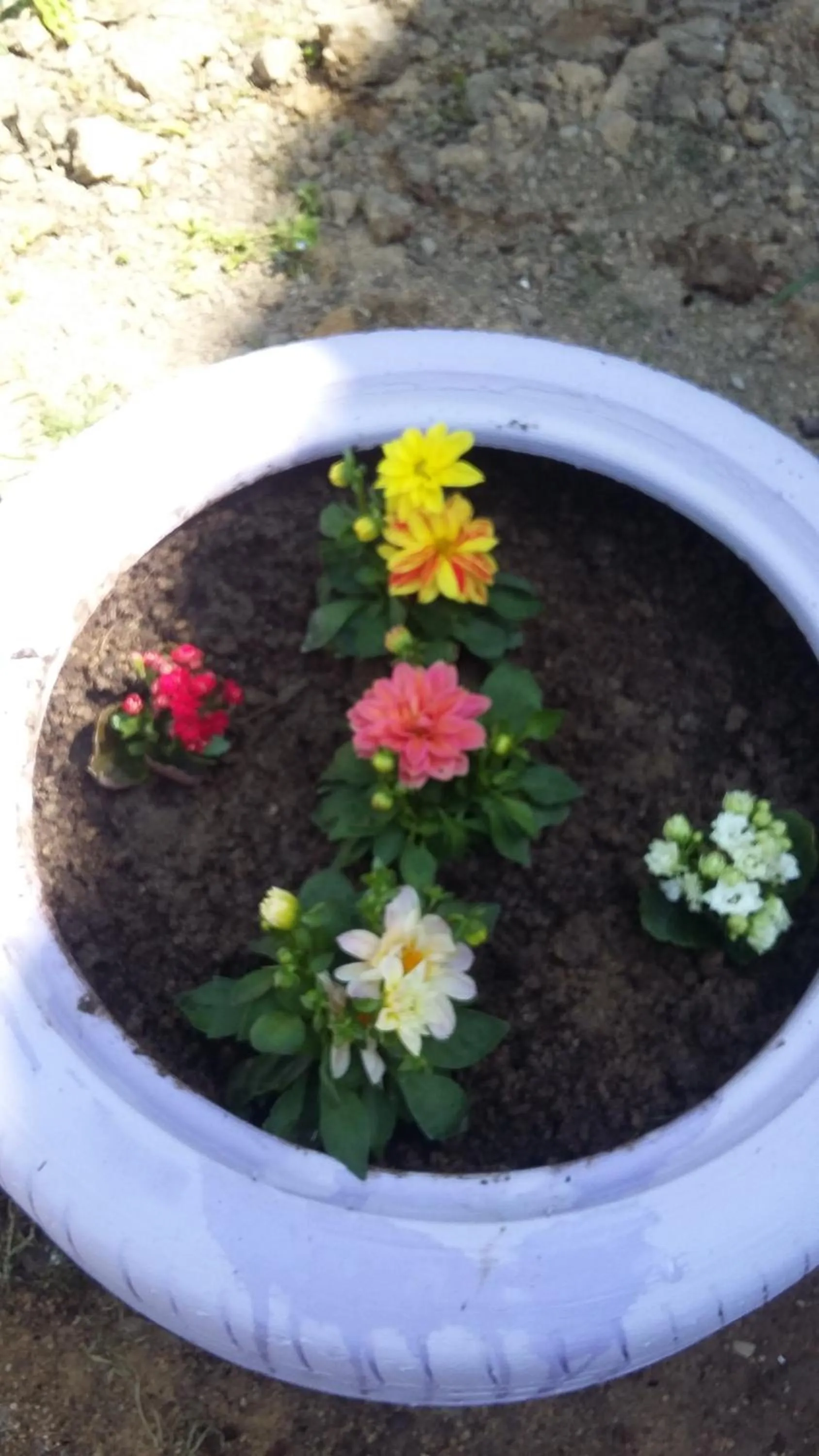 Nimet Hanım Konağı