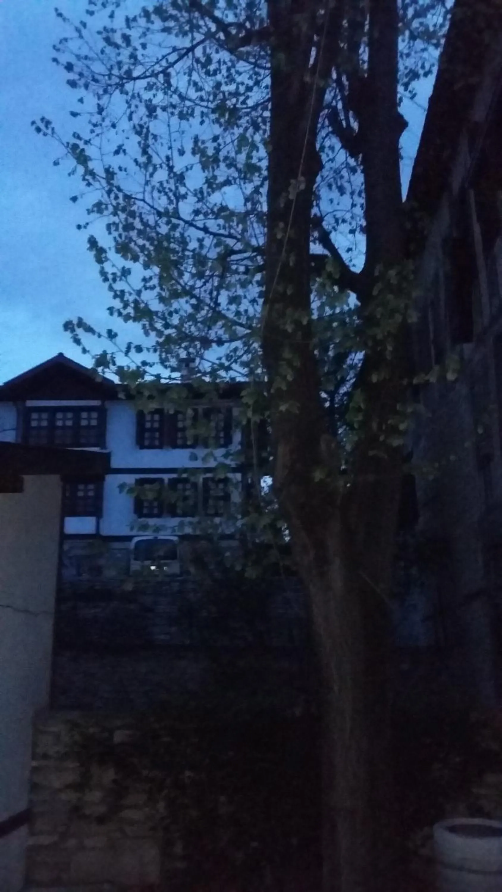 Garden view in Nimet Hanım Konağı