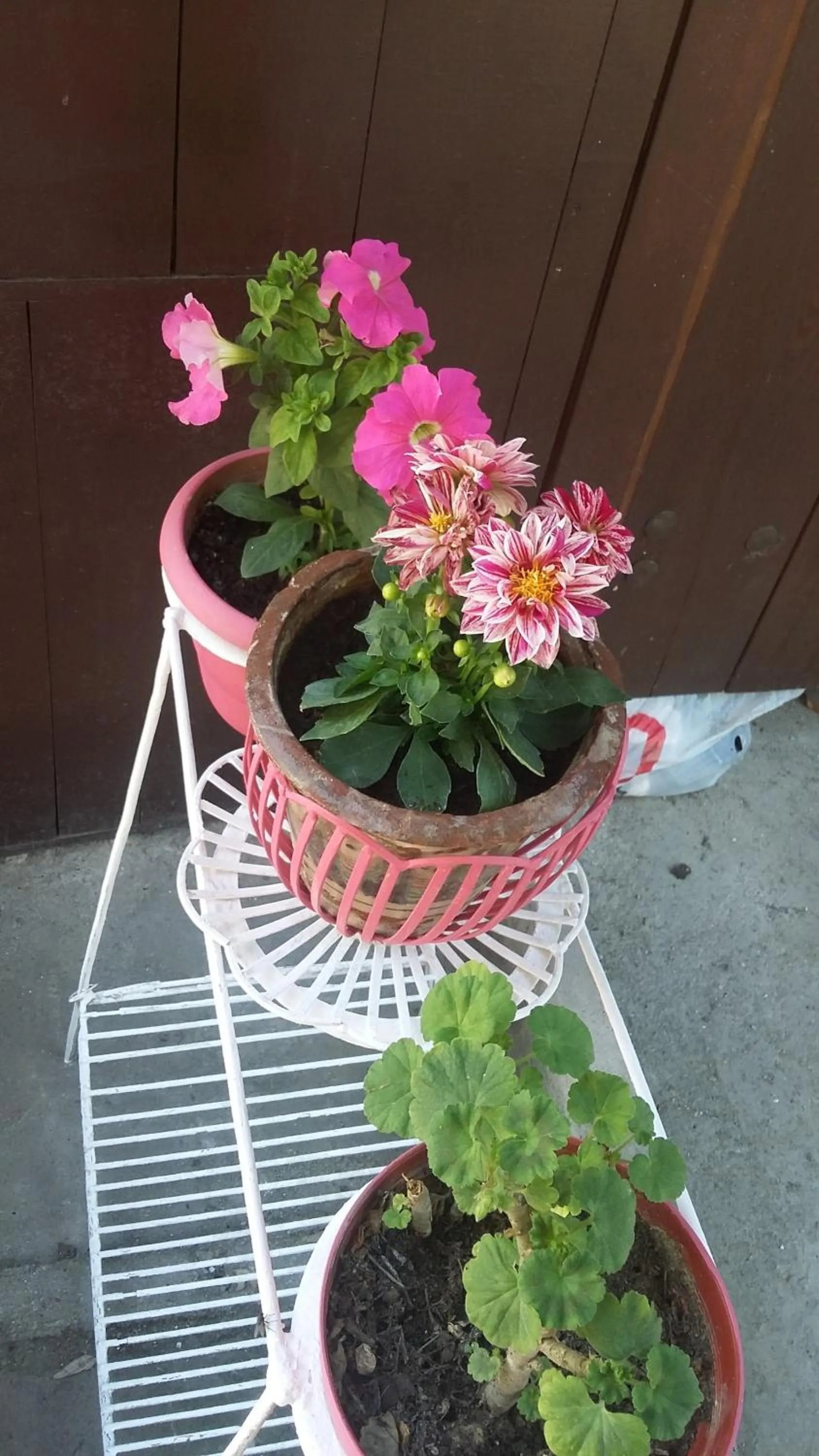 Nimet Hanım Konağı