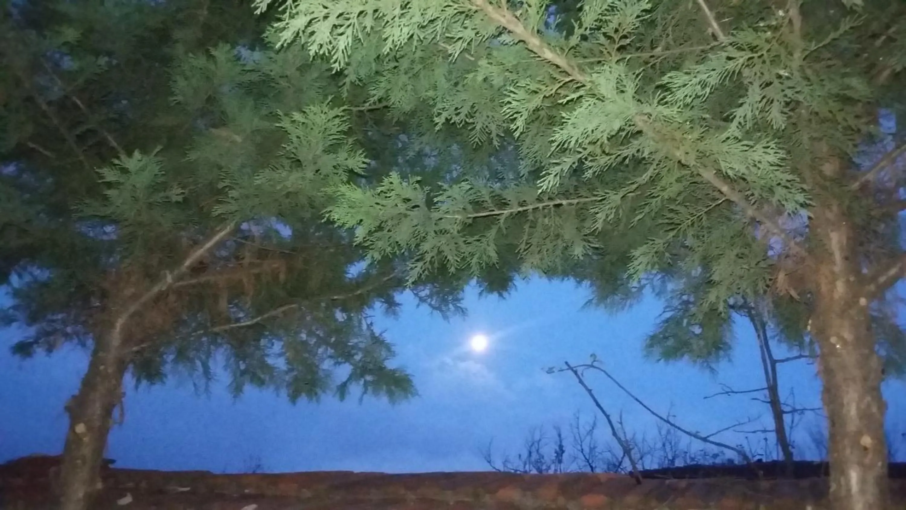 Natural landscape in Nimet Hanım Konağı