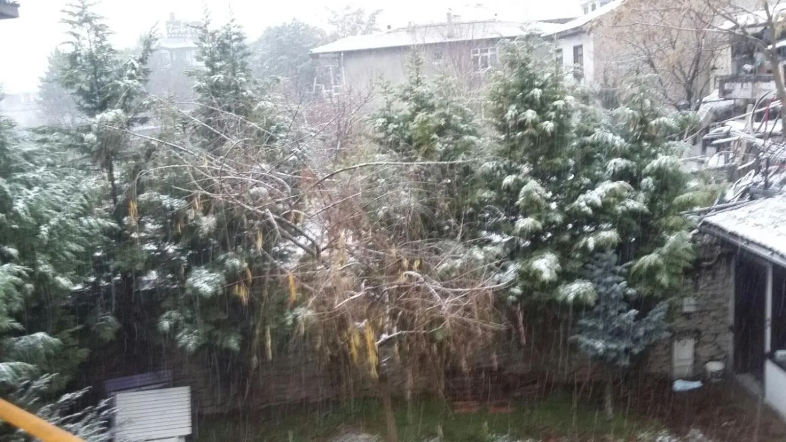 Natural landscape in Nimet Hanım Konağı