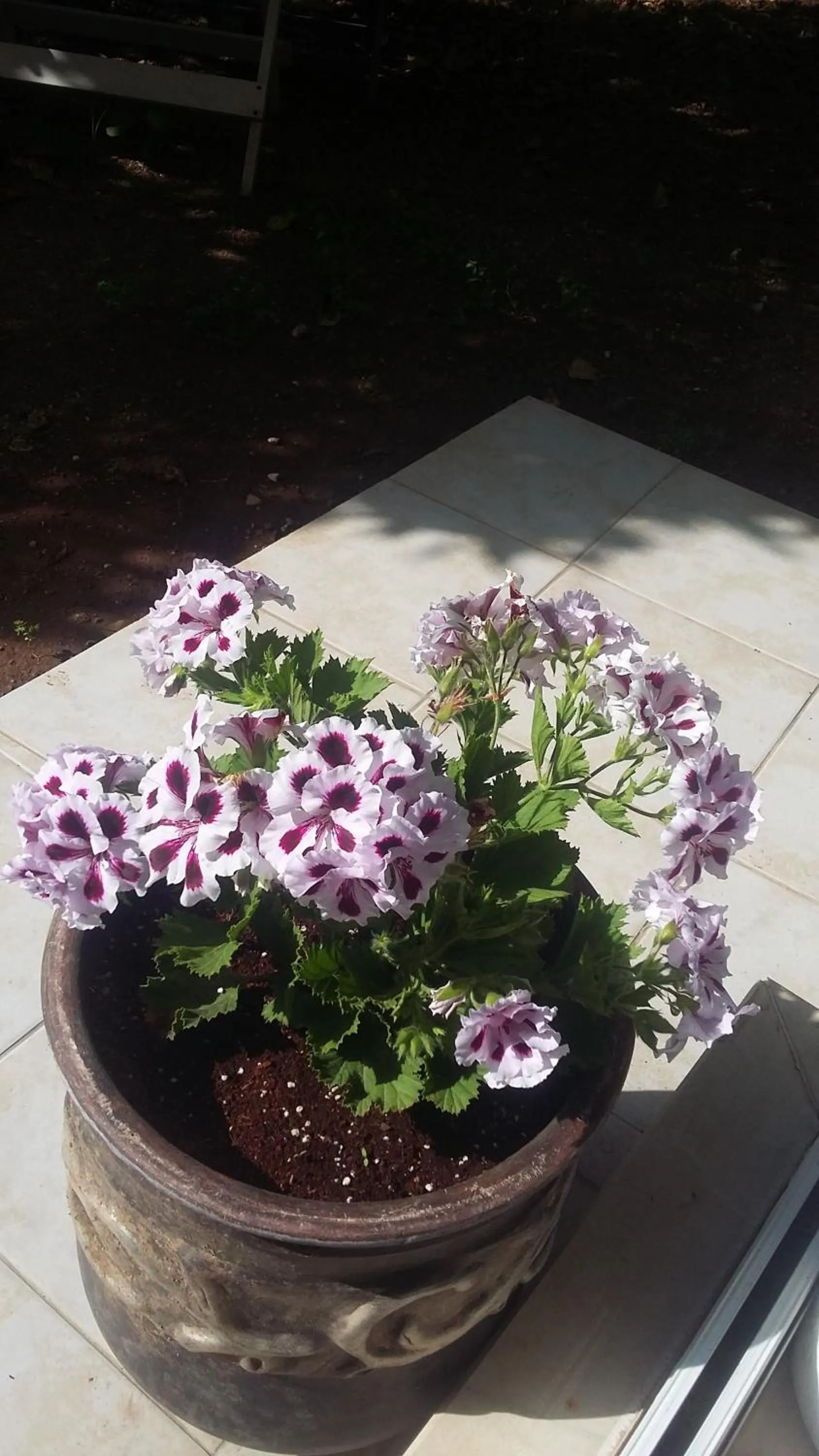 Garden view in Nimet Hanım Konağı