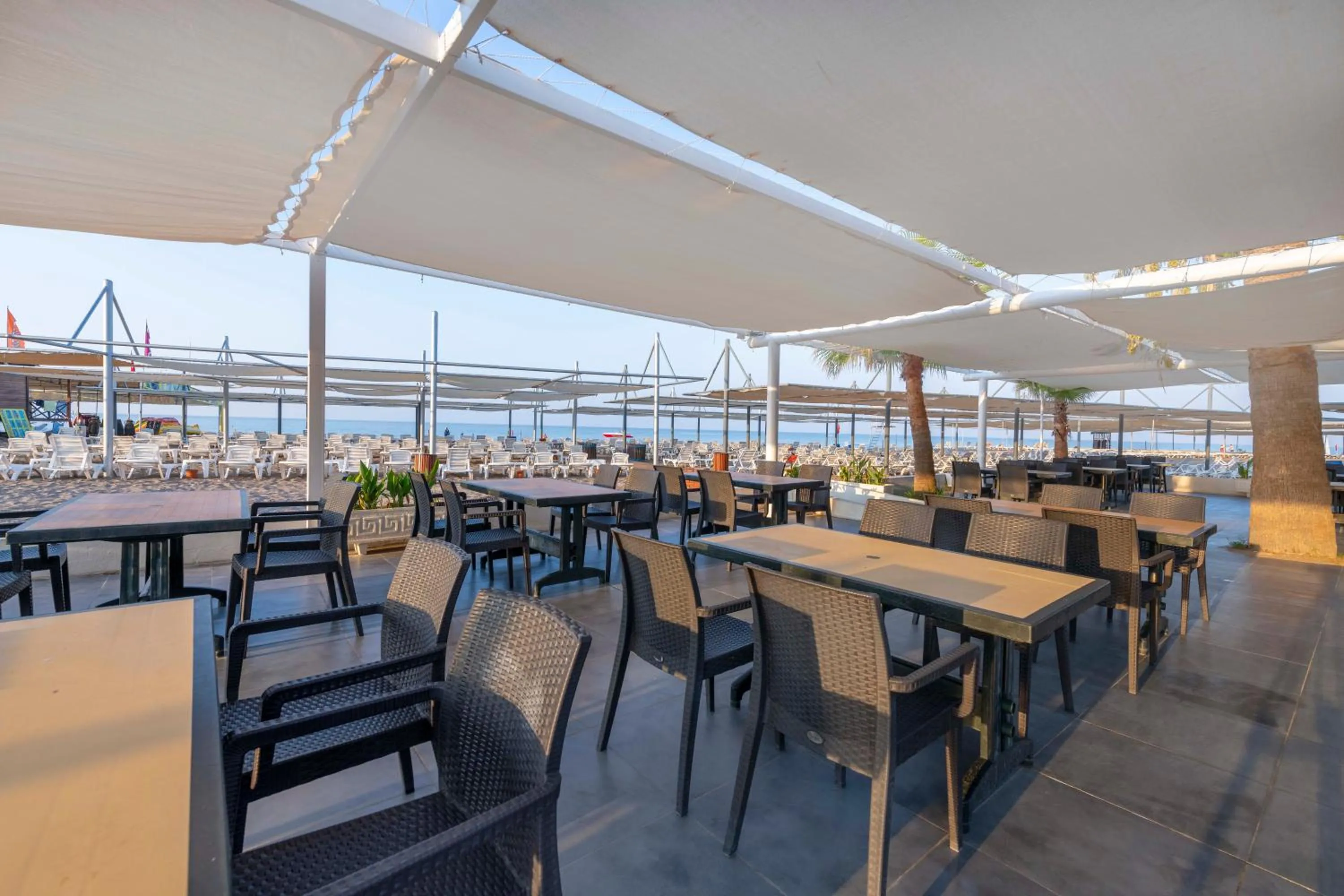 Lounge or bar, Restaurant/Places to Eat in Armas Hotel Saray Regency