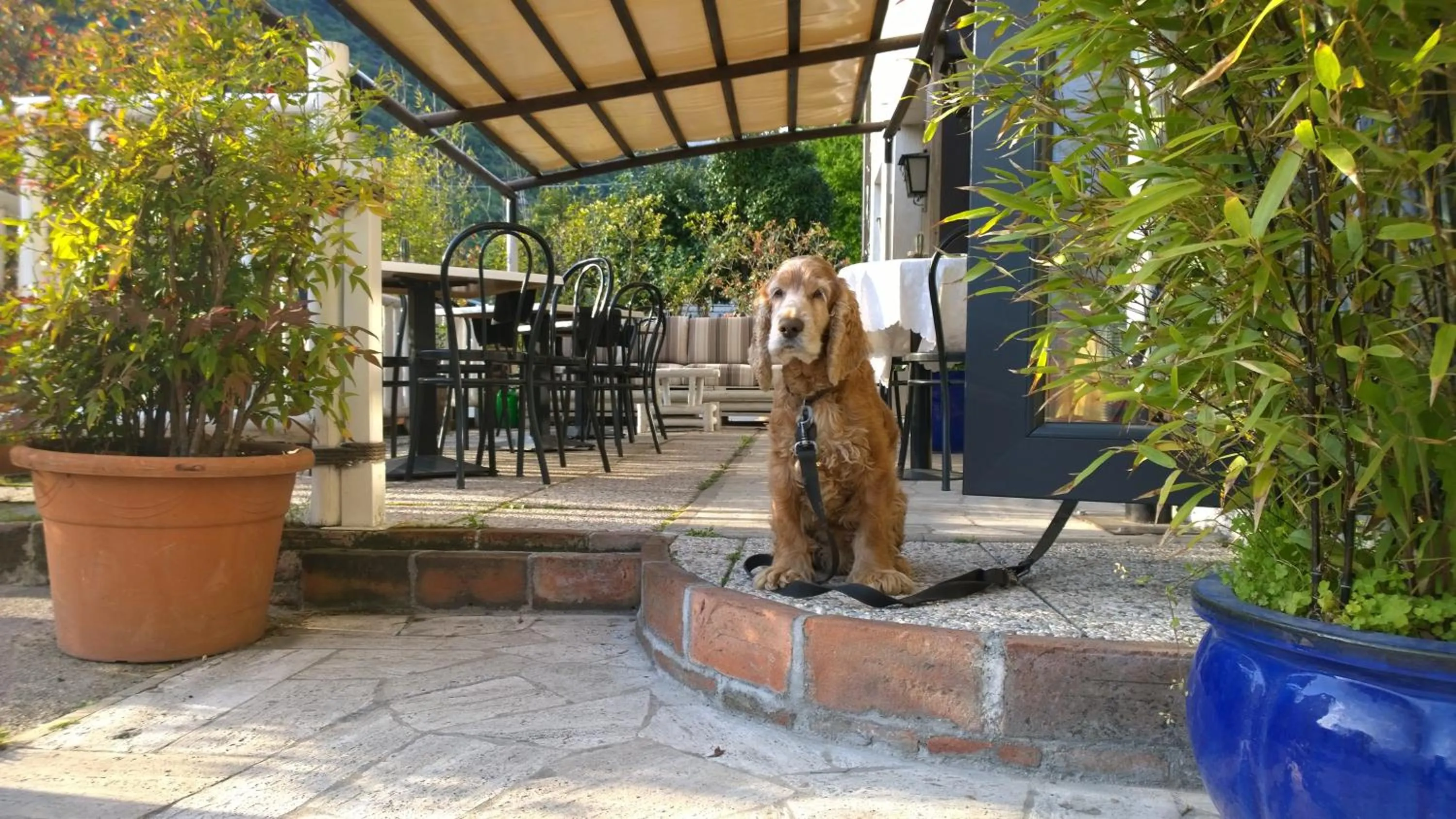 Balcony/Terrace in Hotel Cubamia