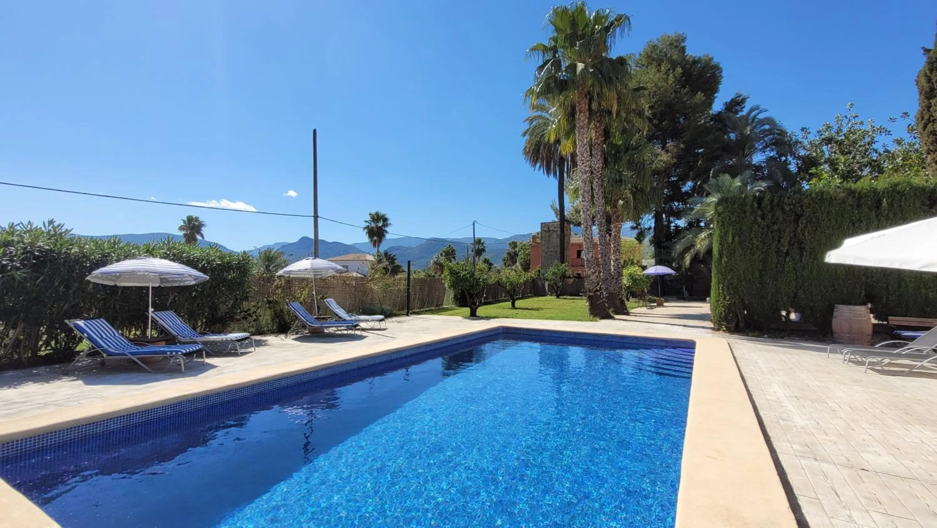 Garden view in Casa Alestelou