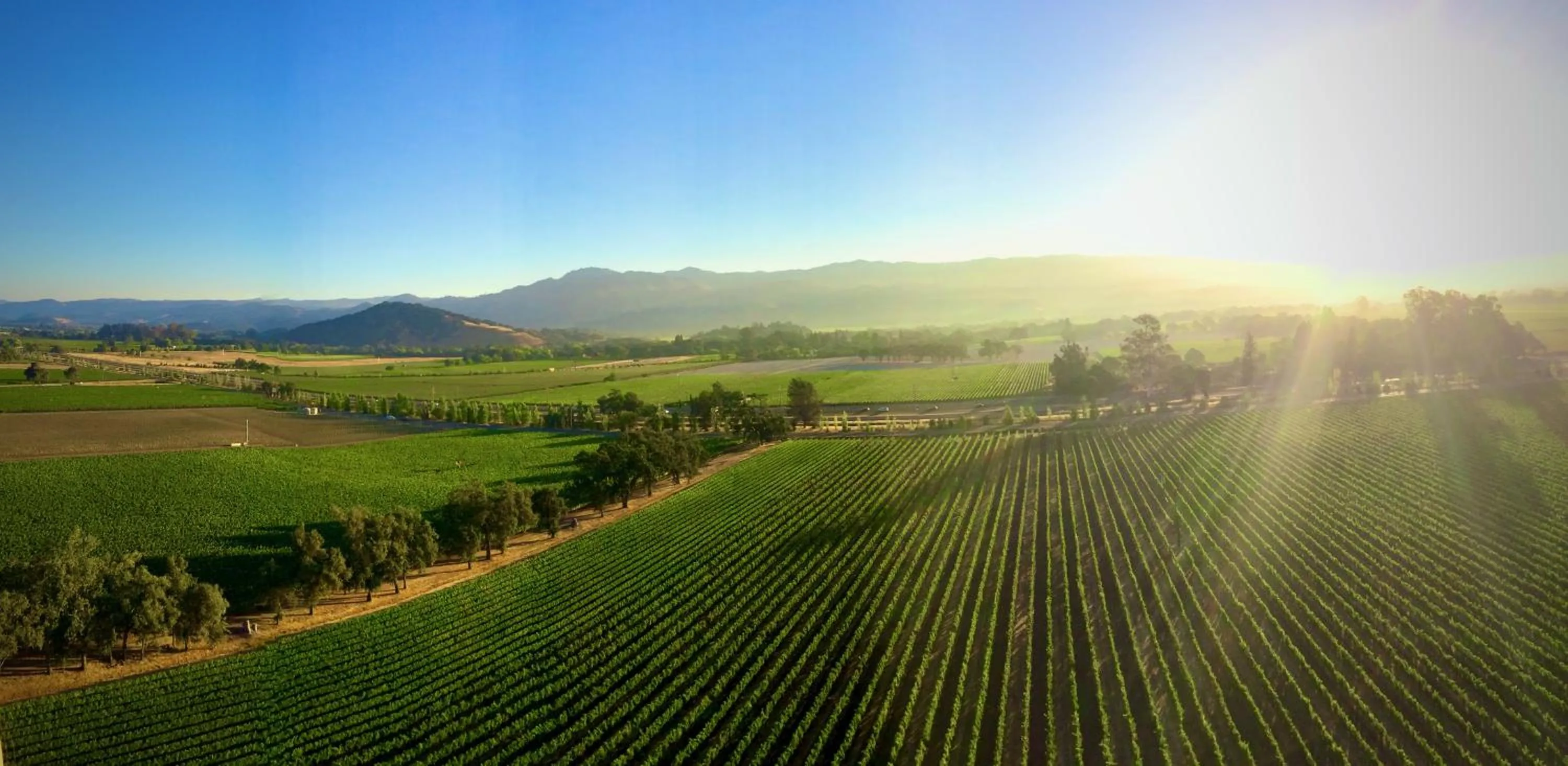 Nearby landmark in Inn St Helena