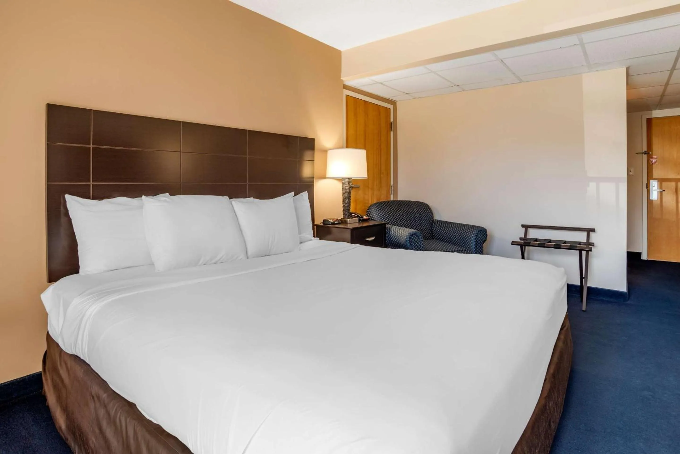 Bedroom, Bed in Econo Lodge Inn & Suites Rehoboth Beach