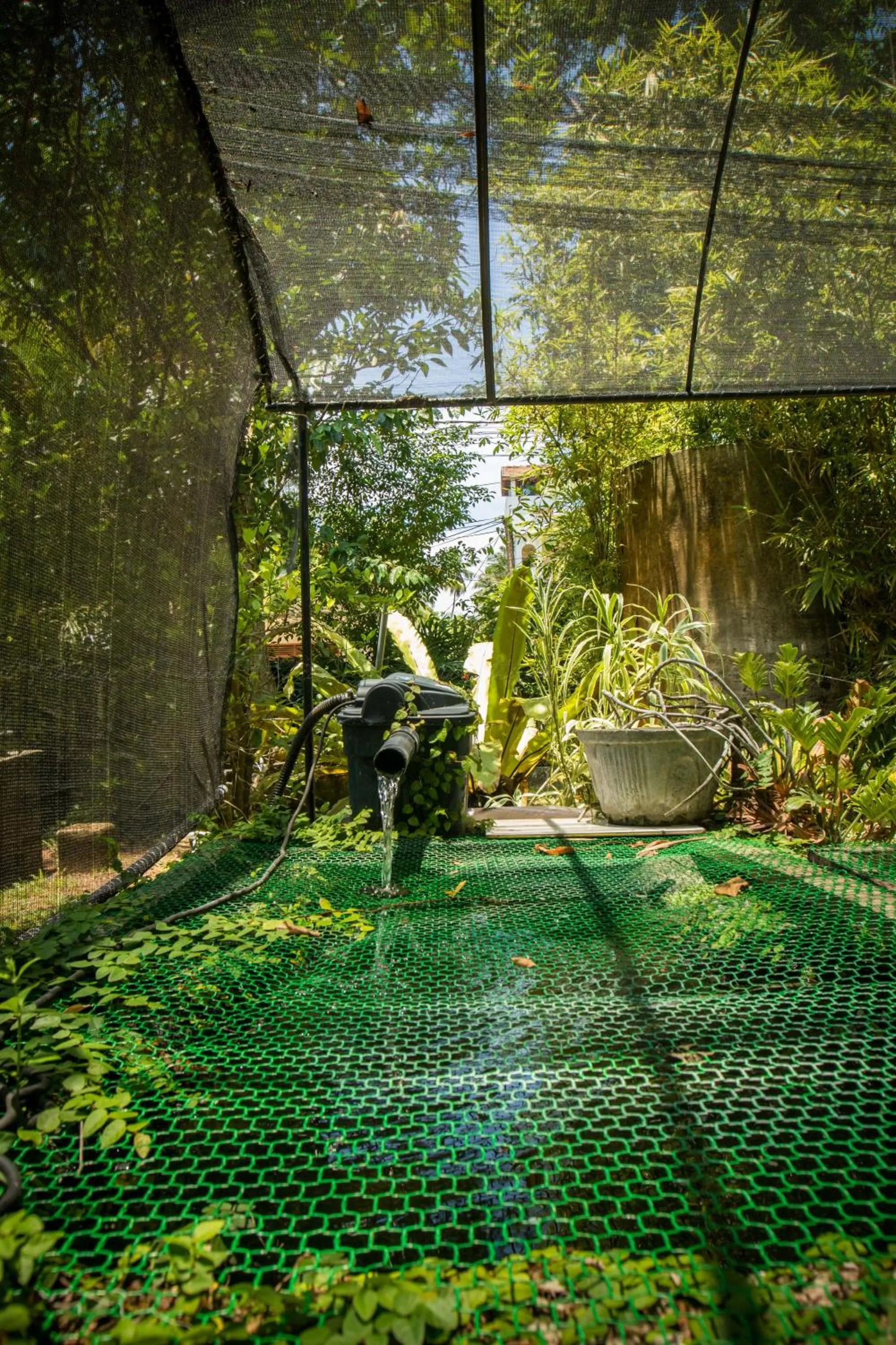 Garden in Haus Berlin