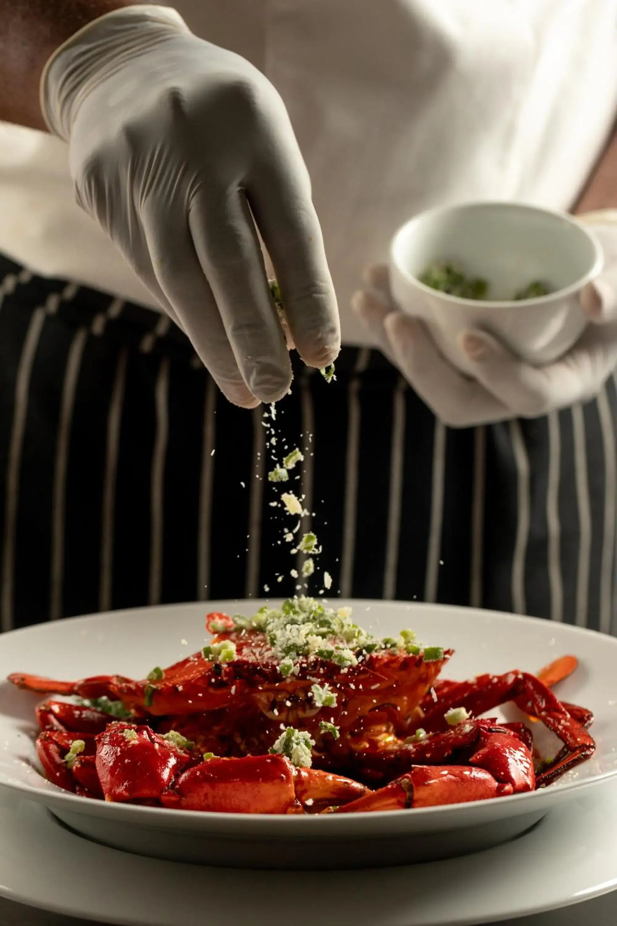 Aditya Resort Aditya Resort