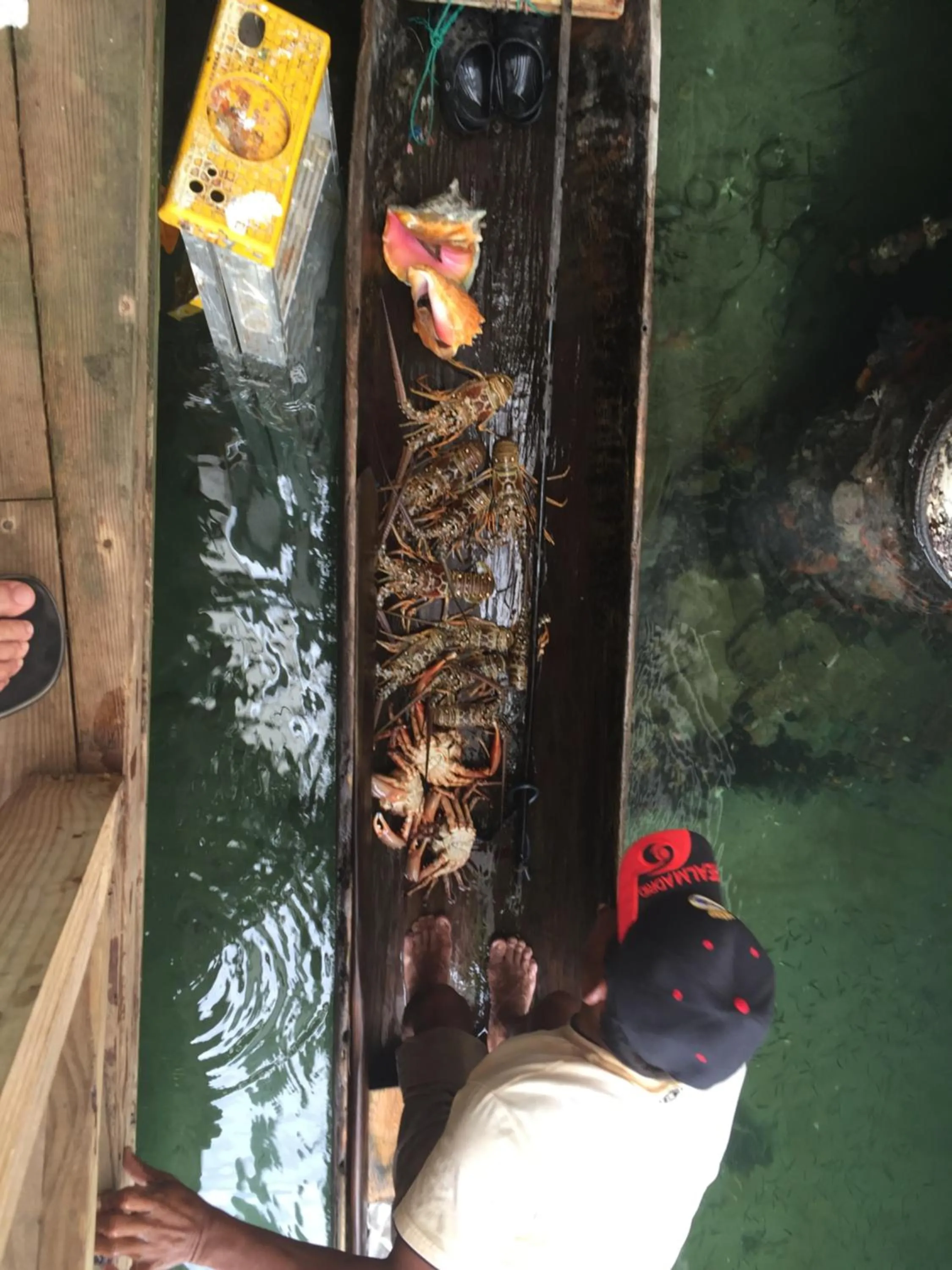 Restaurant/places to eat in Villa F&B