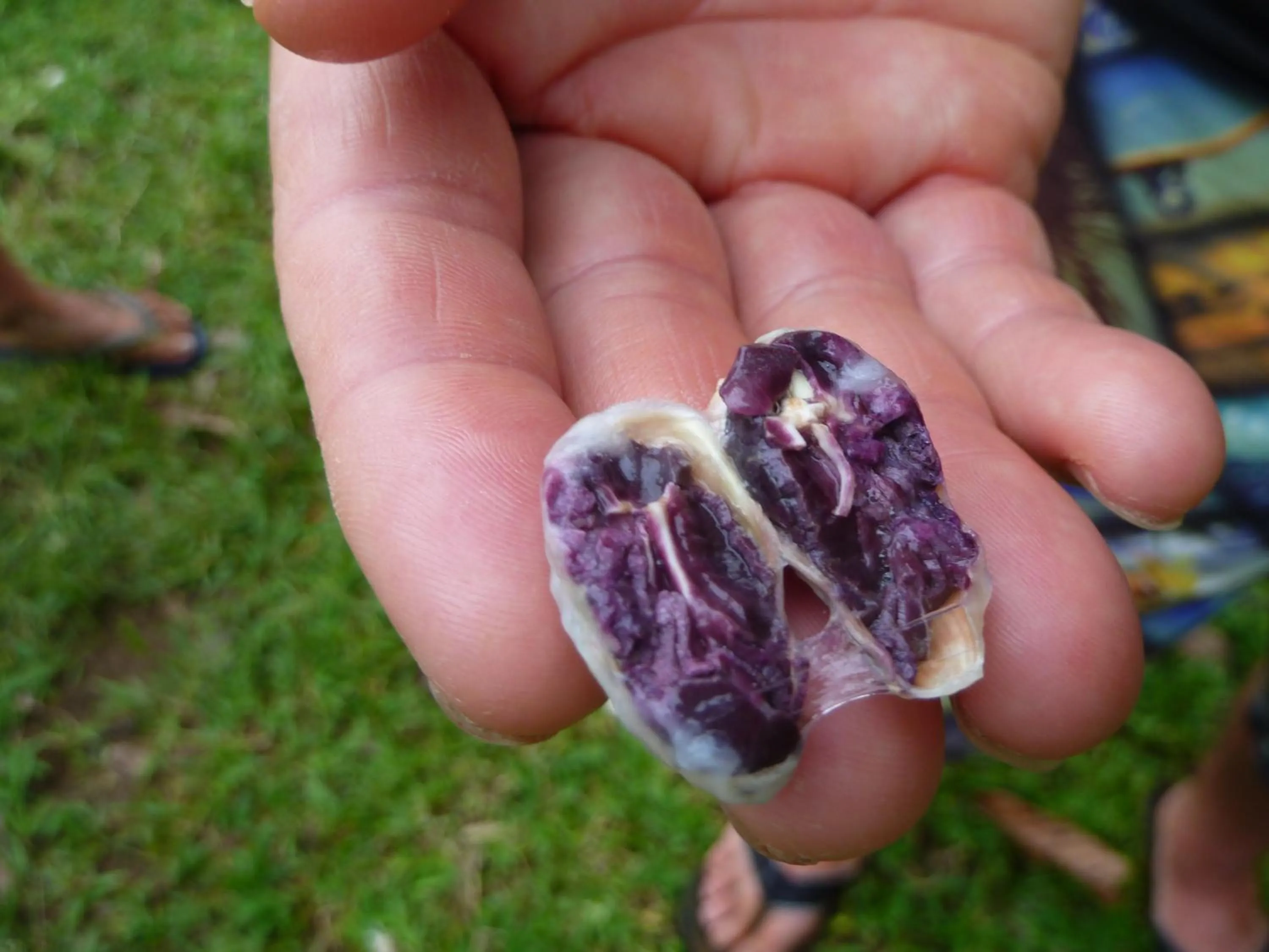 Activities in Villa F&B