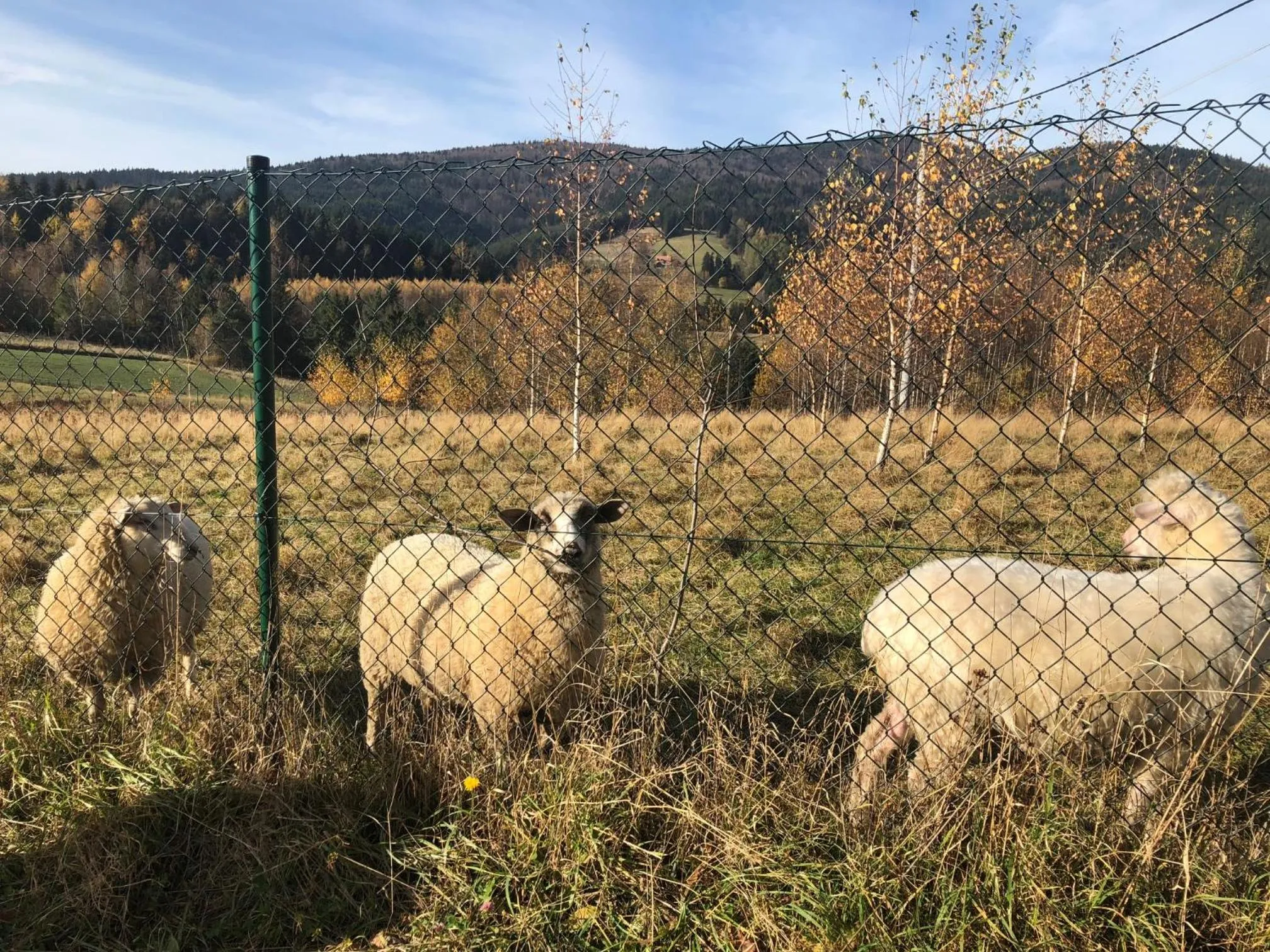 Off site in Chata "na Końcu" Świata