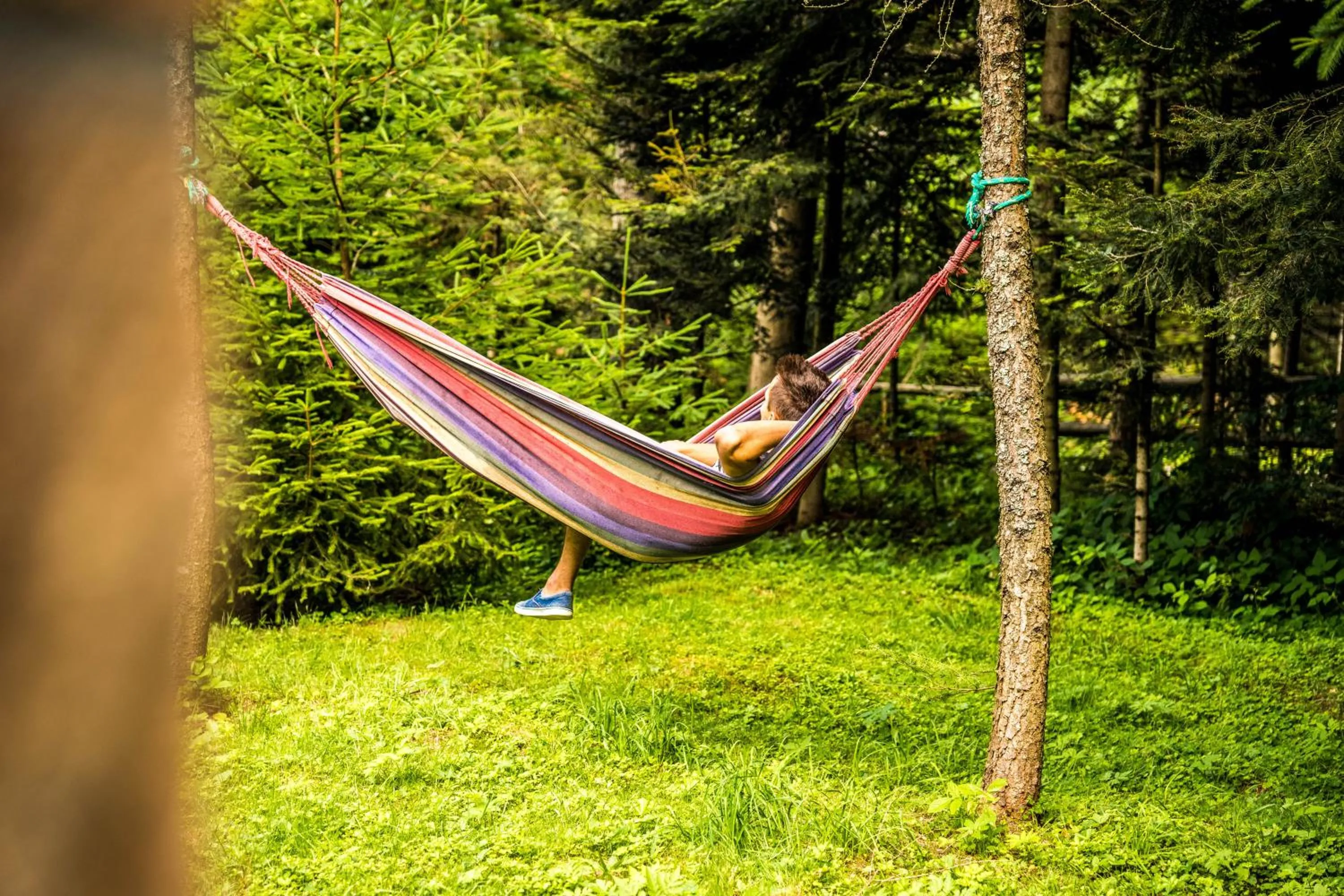 Garden in Chata "na Końcu" Świata