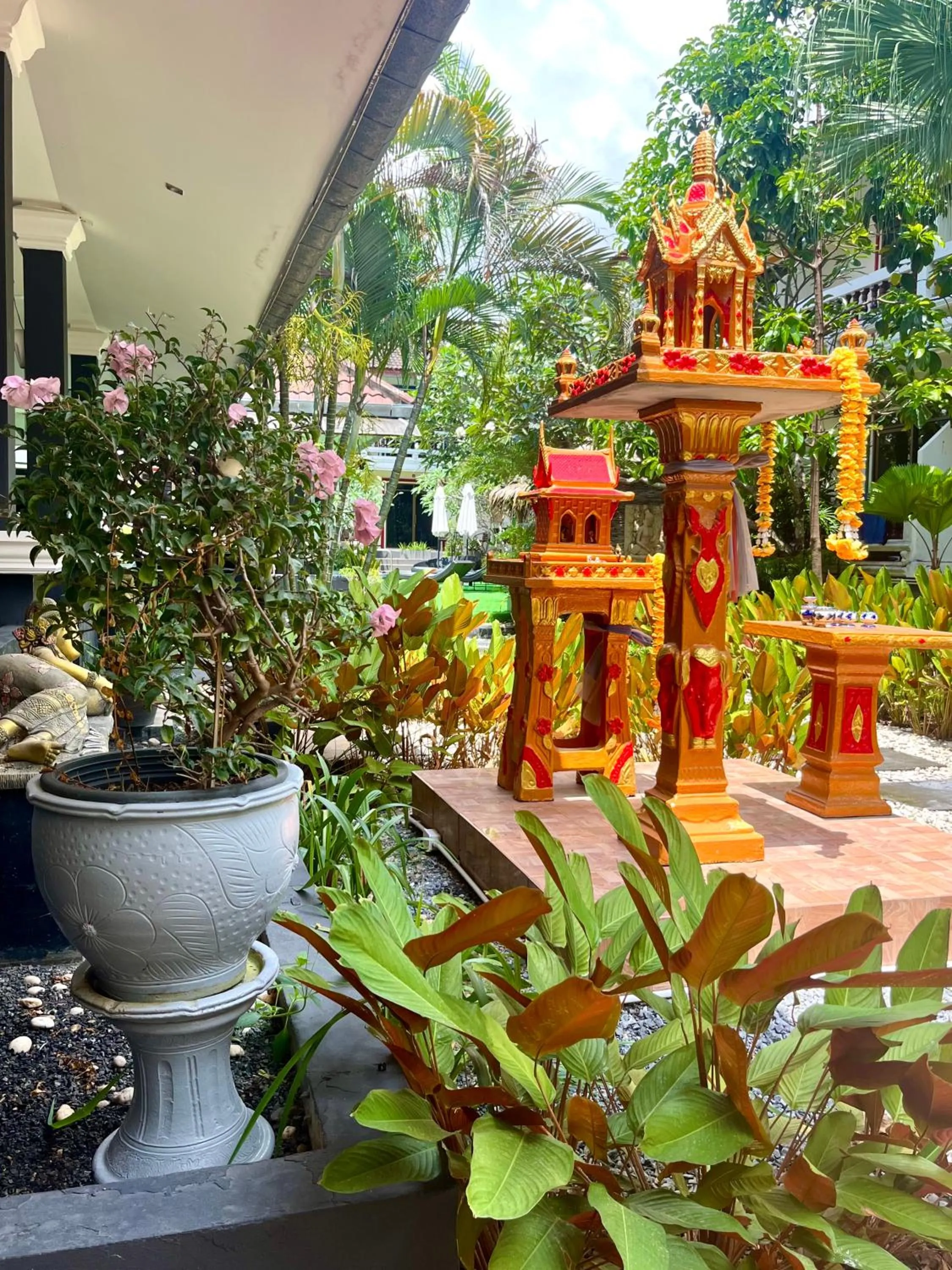 Garden in Tropical Palm