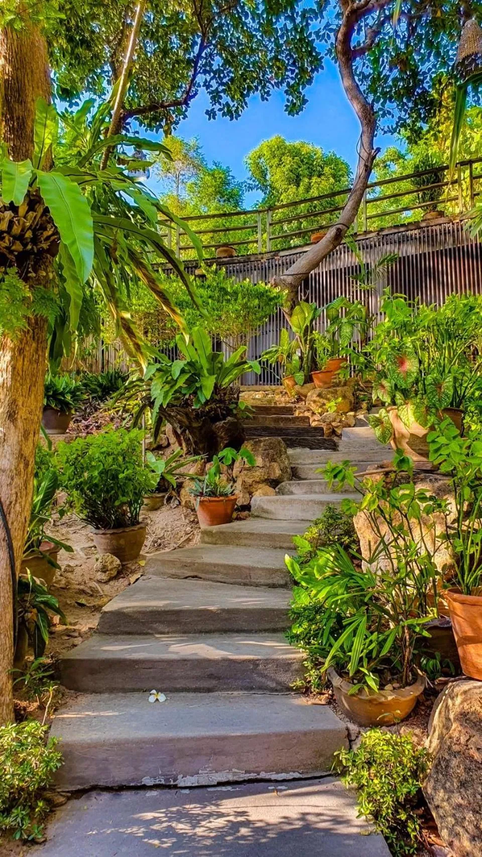 Natural landscape in Chaweng Park Place