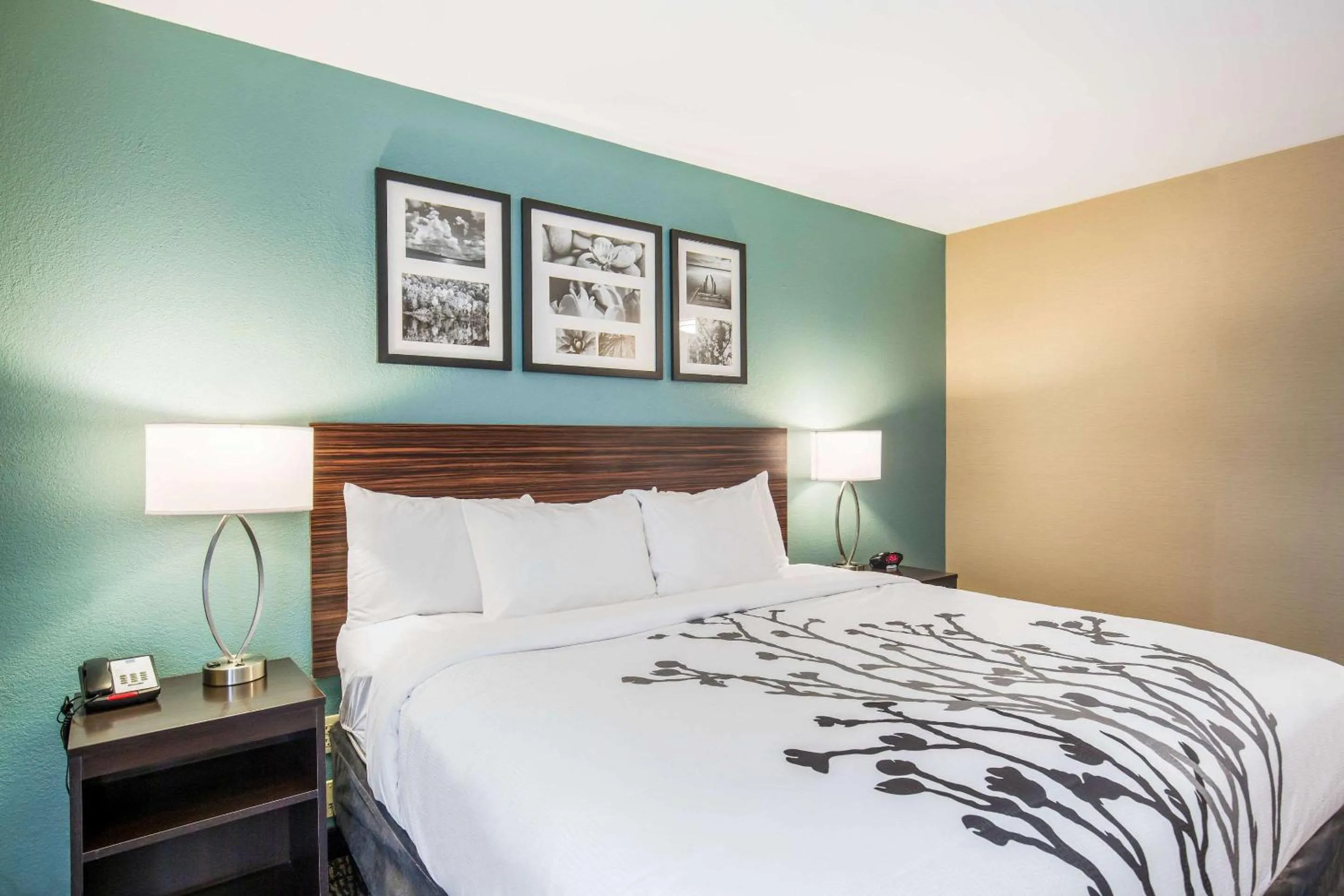 Bedroom, Bed in Sleep Inn & Suites Dunmore