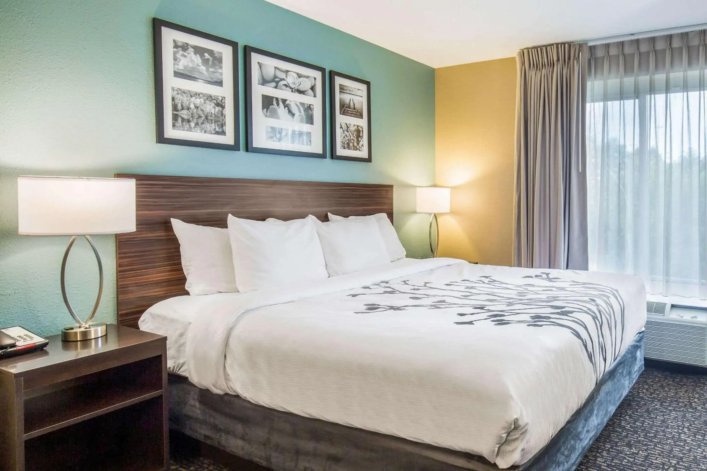 Bedroom, Bed in Sleep Inn & Suites Dunmore Bedroom, Bed in Sleep Inn & Suites Dunmore