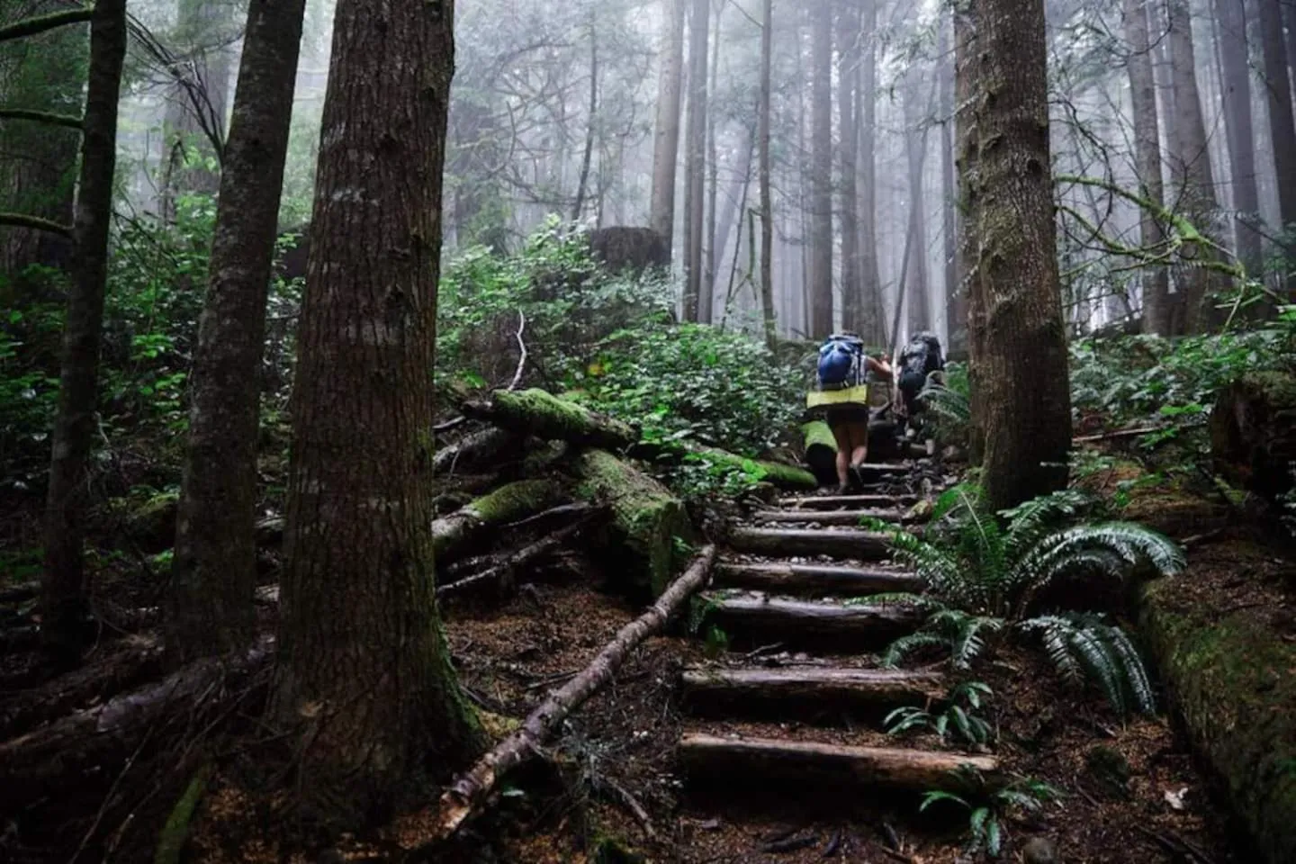 The Great Escape - Port Renfrew