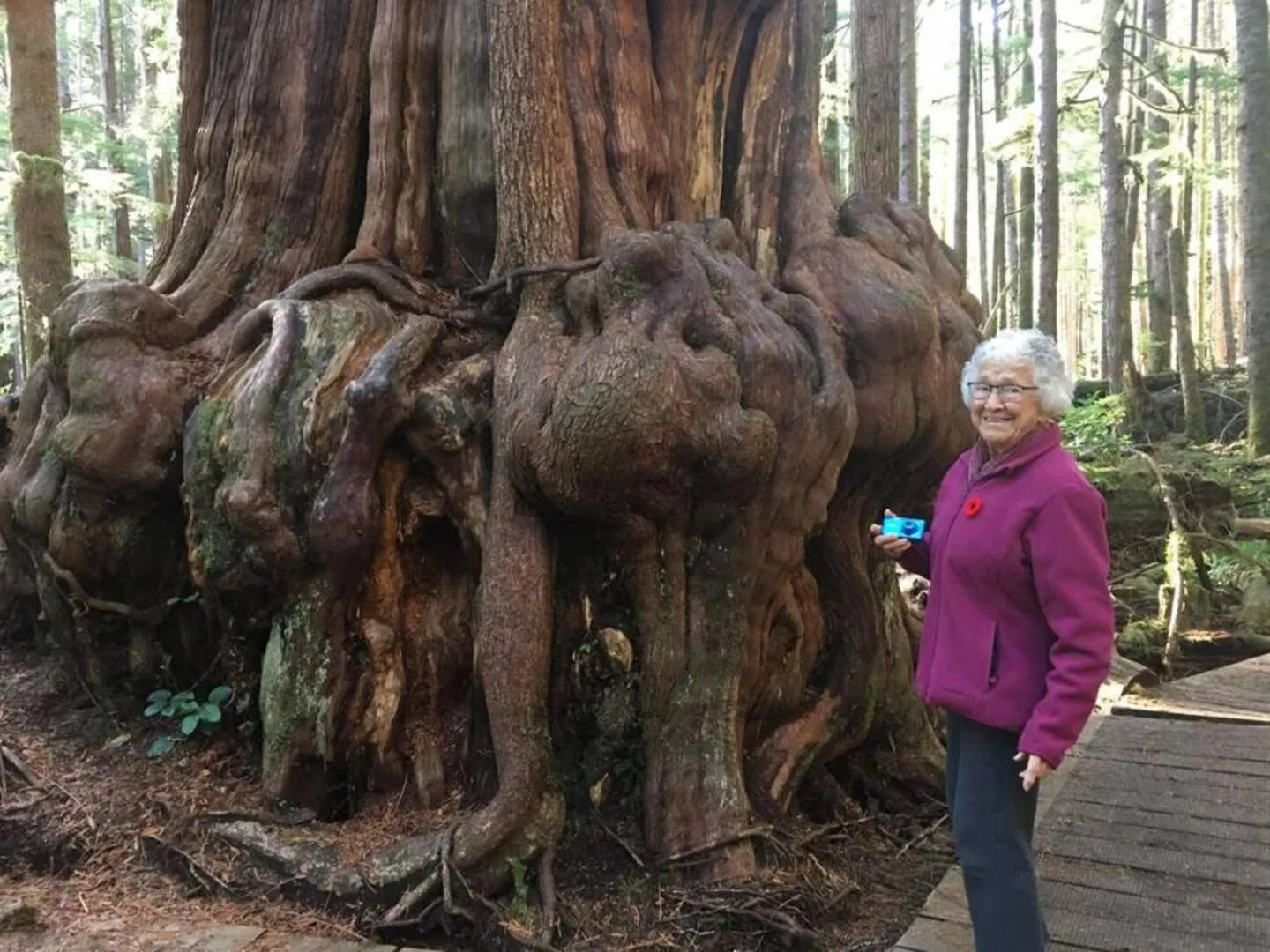 The Great Escape - Port Renfrew