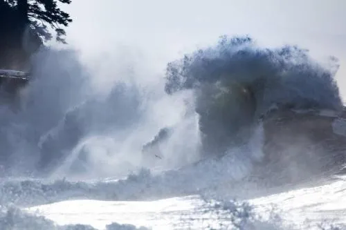 The Great Escape - Port Renfrew