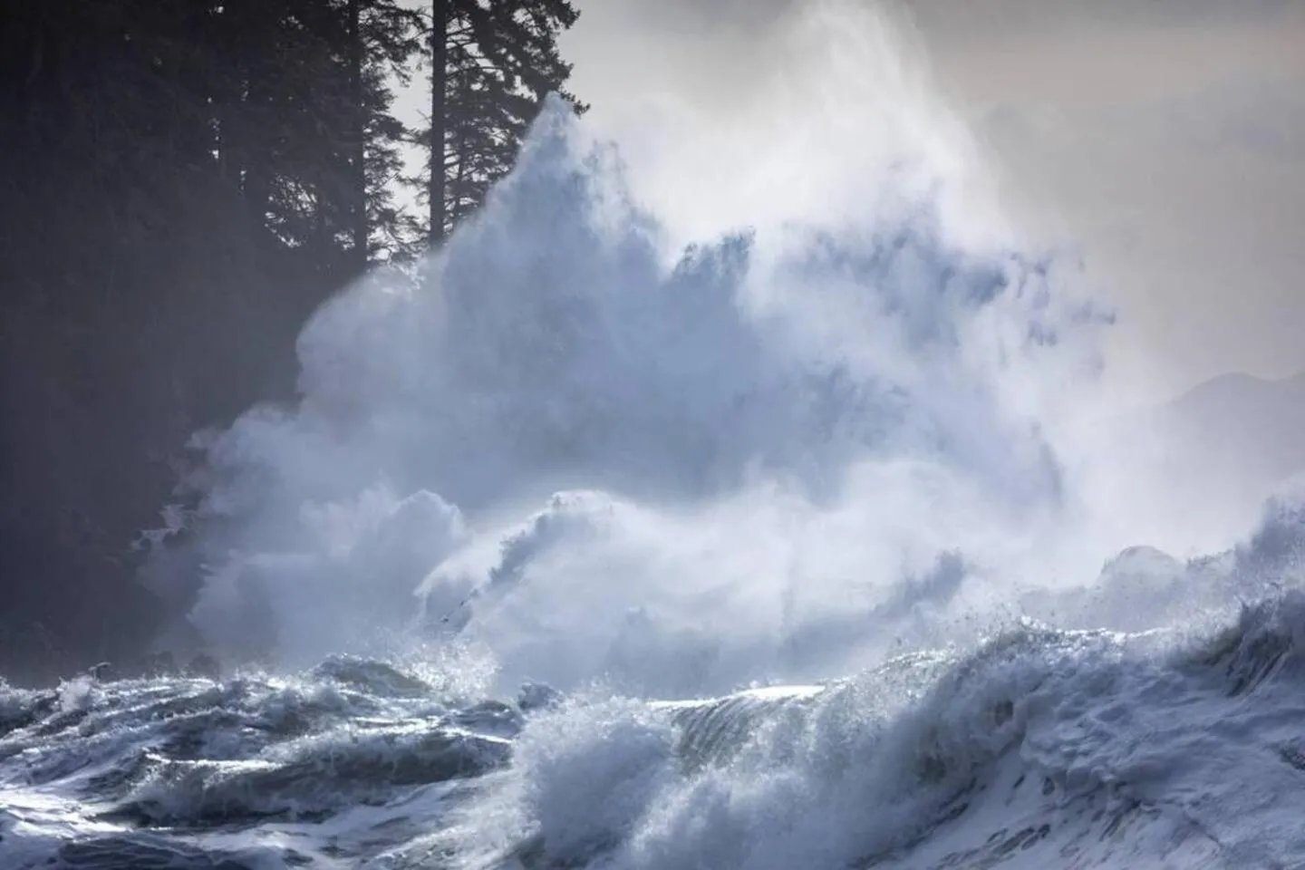The Great Escape - Port Renfrew