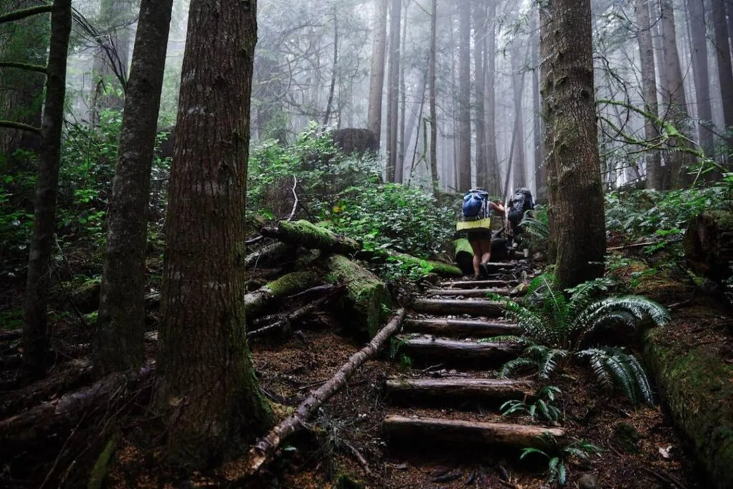 The Great Escape - Port Renfrew