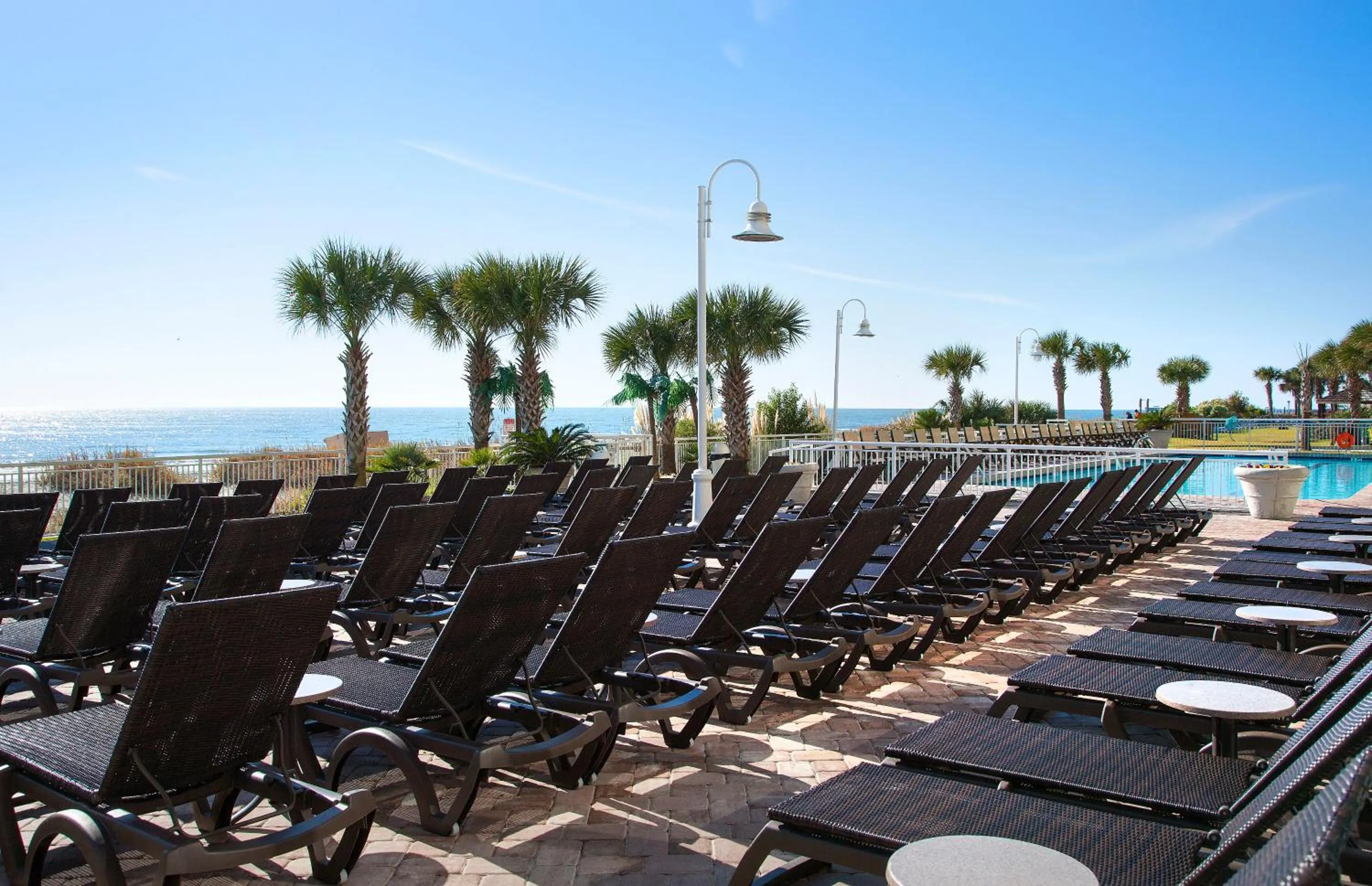 Other in Paradise Resort