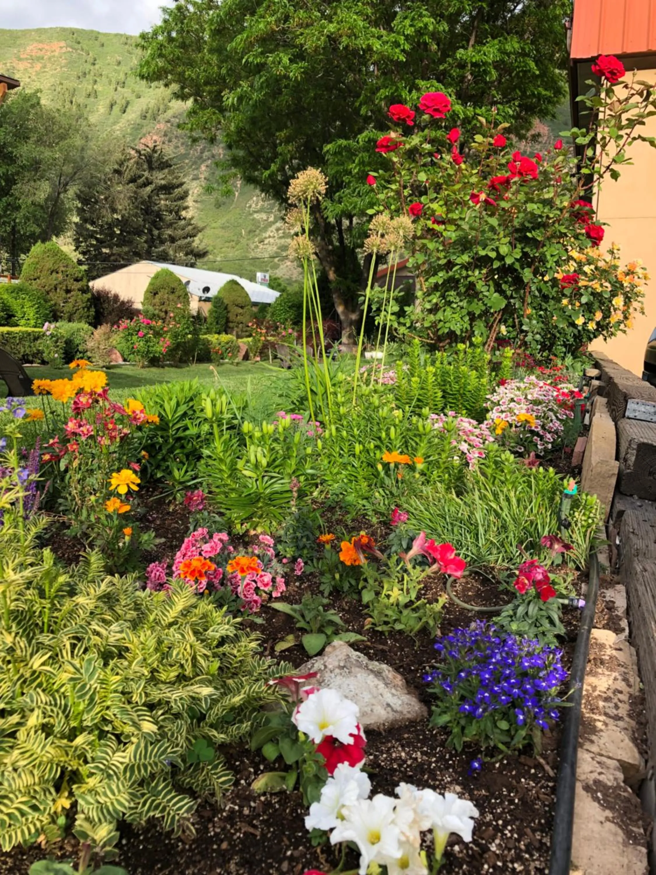 View (from property/room) in Glenwood Springs Cedar Lodge