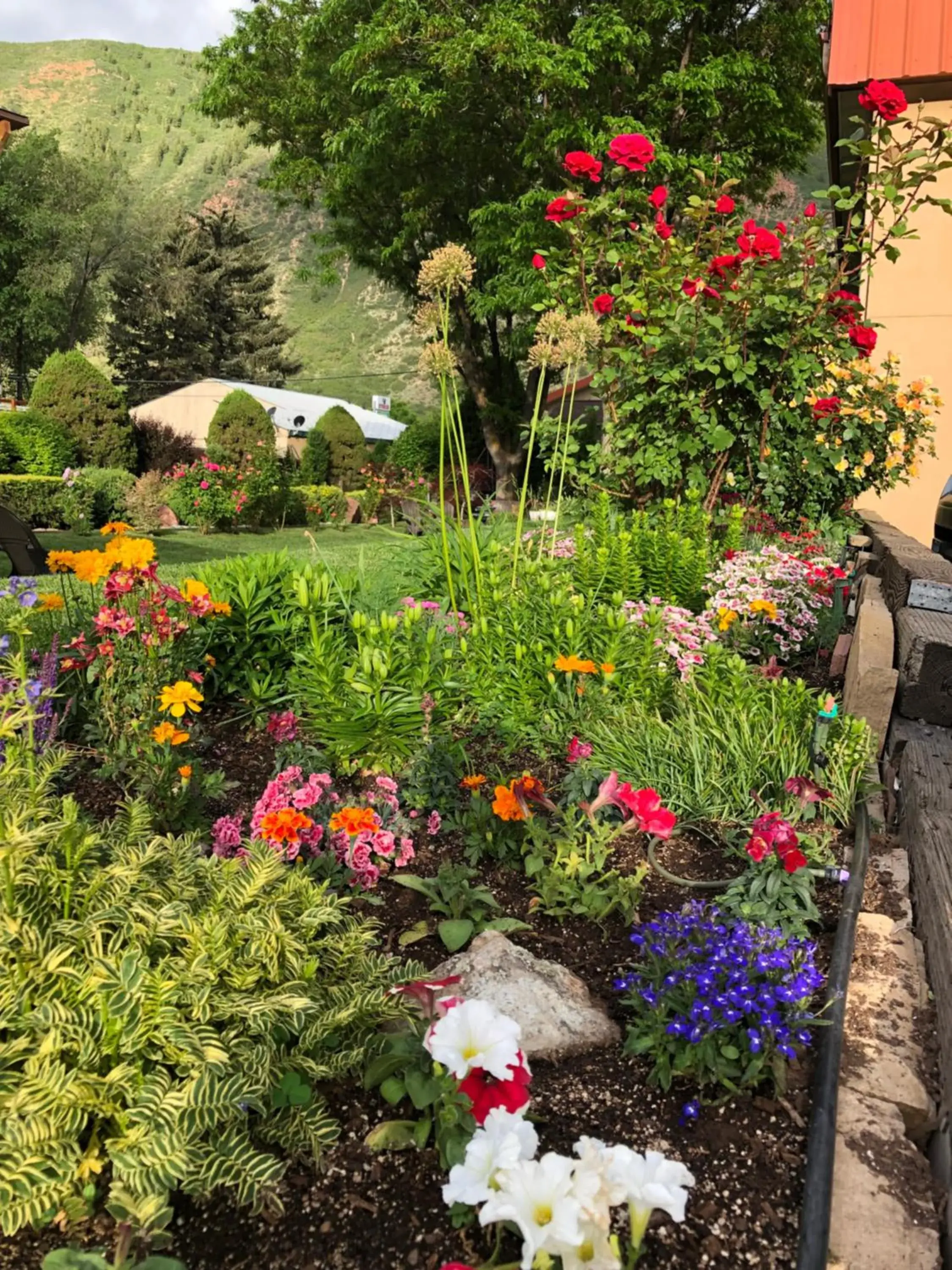 View (from property/room) in Glenwood Springs Cedar Lodge View (from property/room) in Glenwood Springs Cedar Lodge