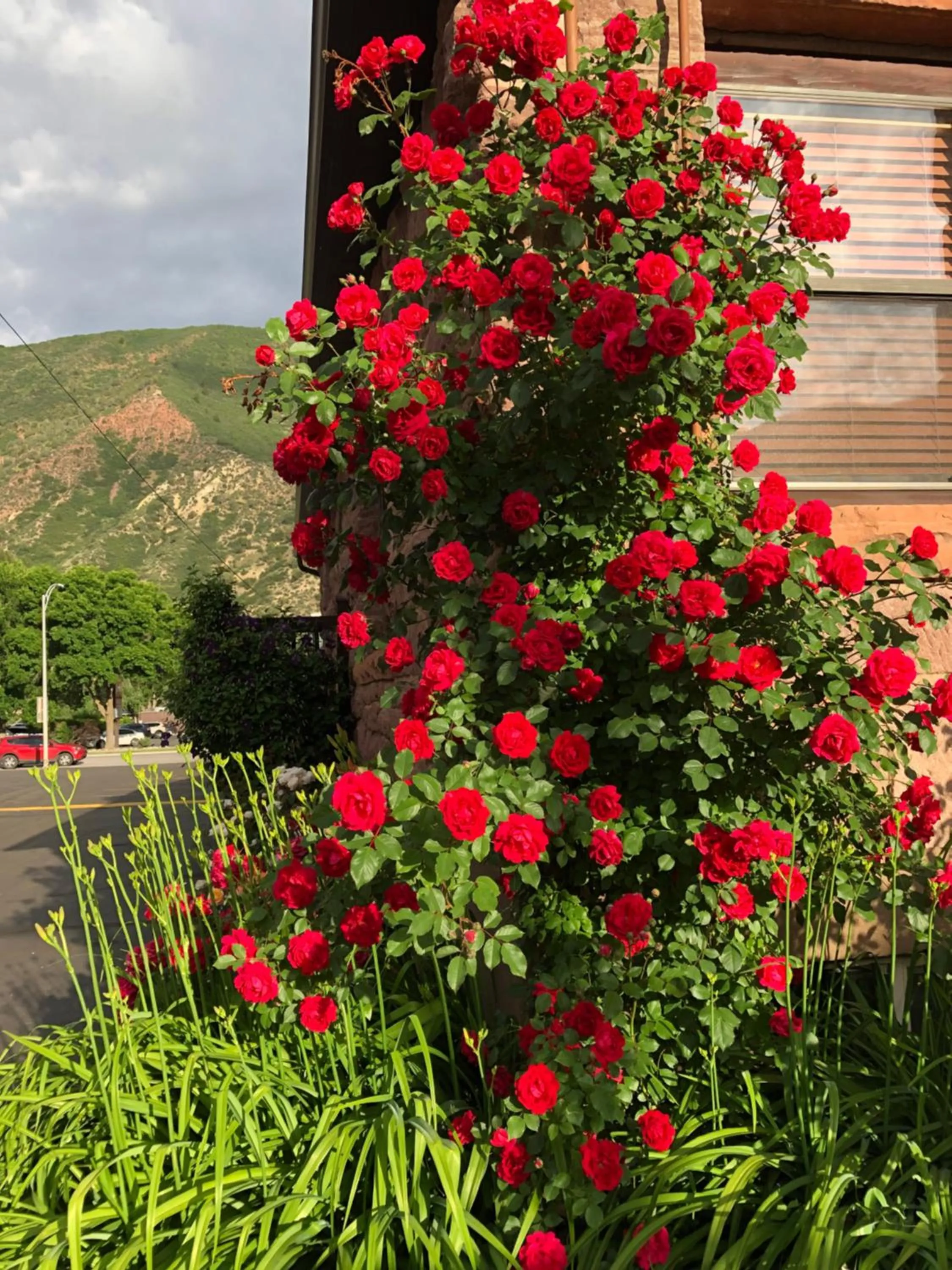 Property building in Glenwood Springs Cedar Lodge