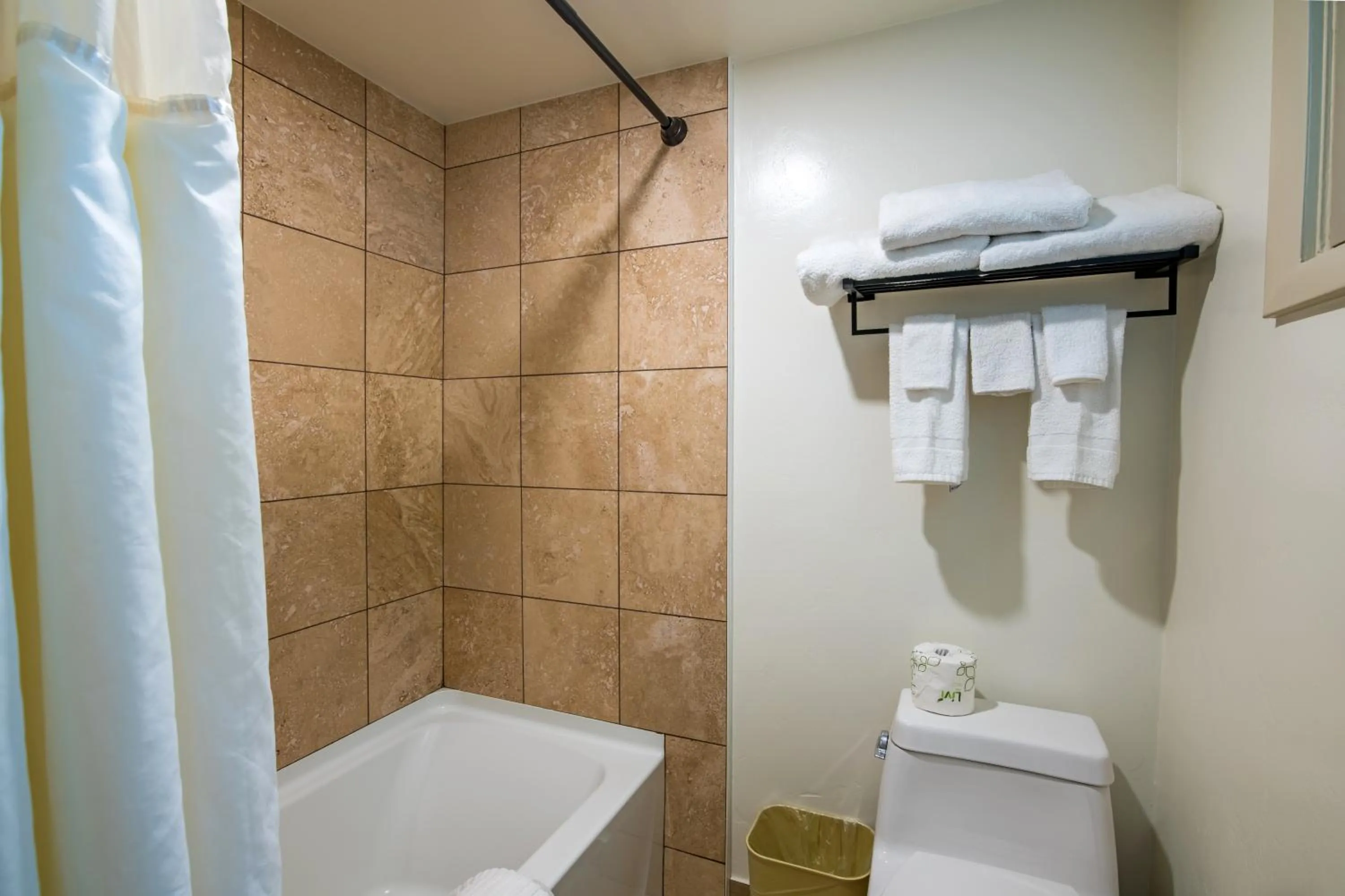 Bathroom in Glenwood Springs Cedar Lodge