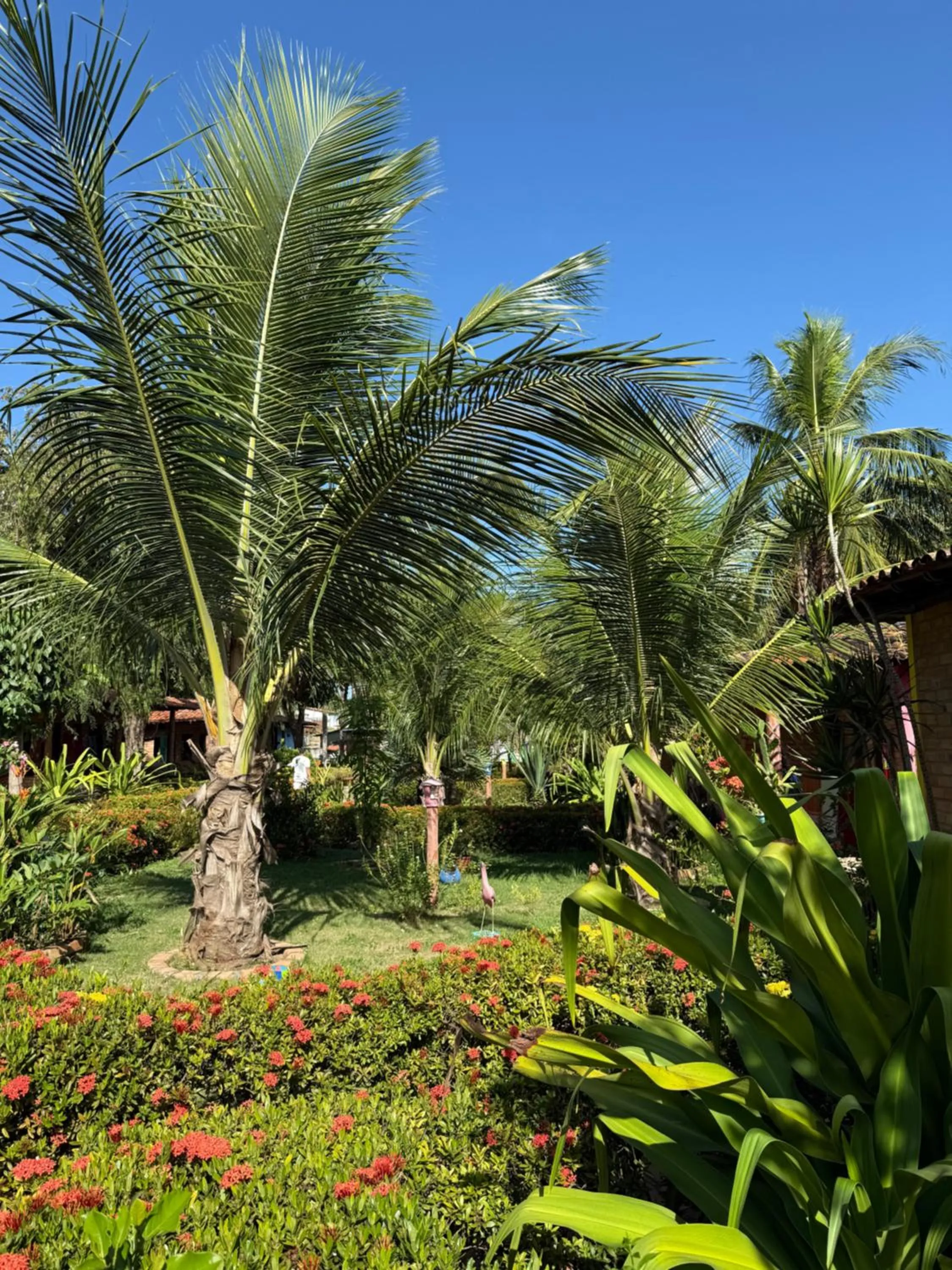 Garden in Pousada do Riacho