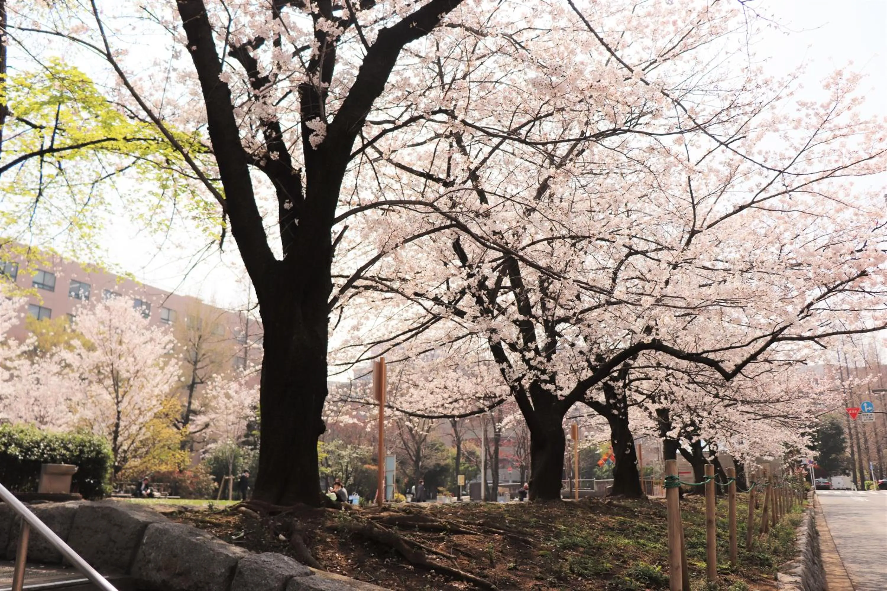 Other in Hotel Keihan Tsukiji Ginza Grande
