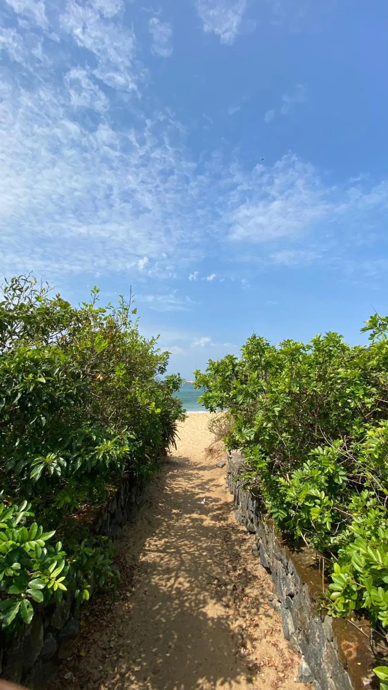 Day in Reserva Praia Hotel