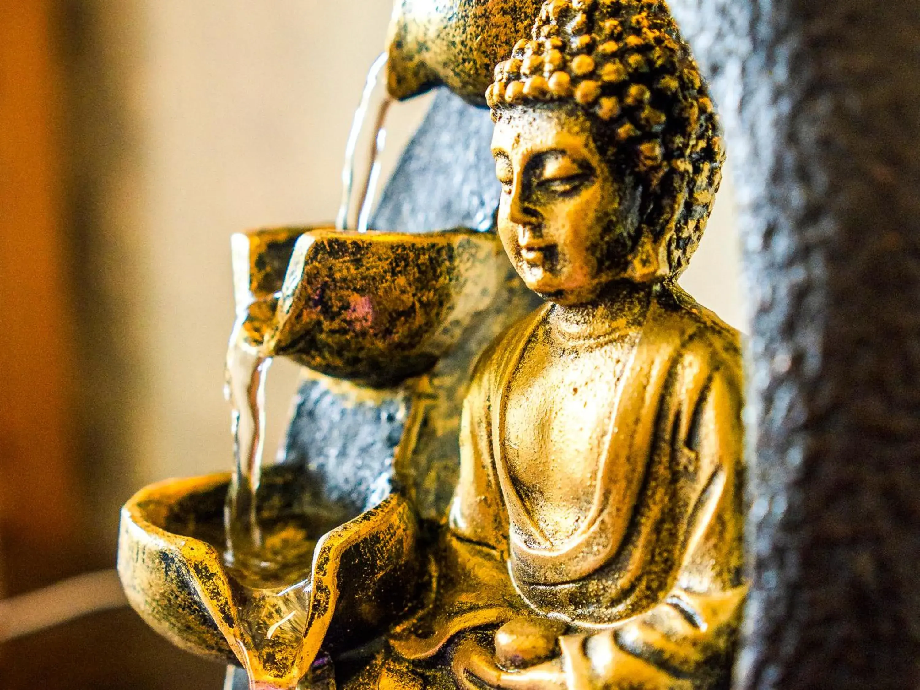 Spa and wellness centre/facilities in VELINN Pousada dos Marinheiros Spa and wellness centre/facilities in VELINN Pousada dos Marinheiros