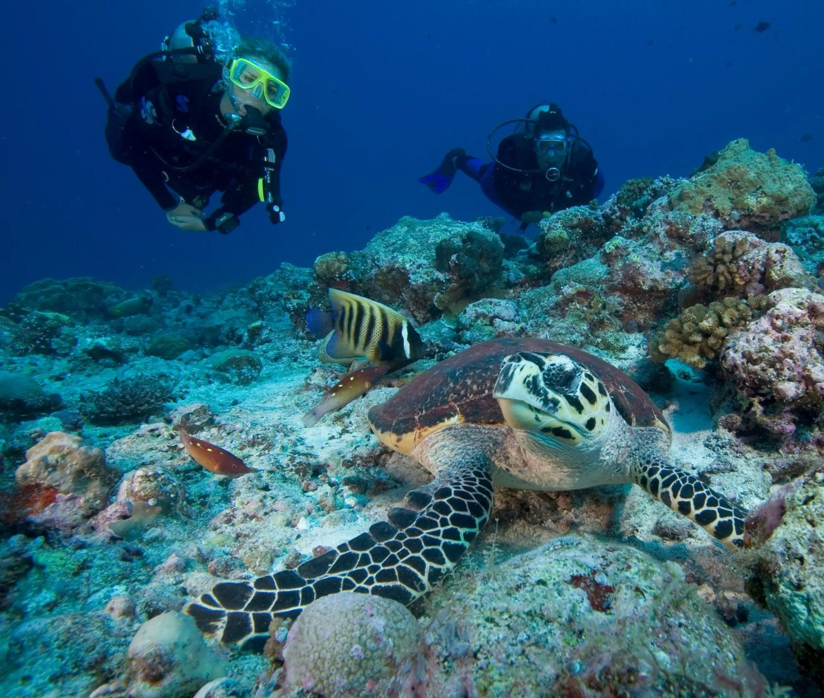 Diving in Six Senses Fiji