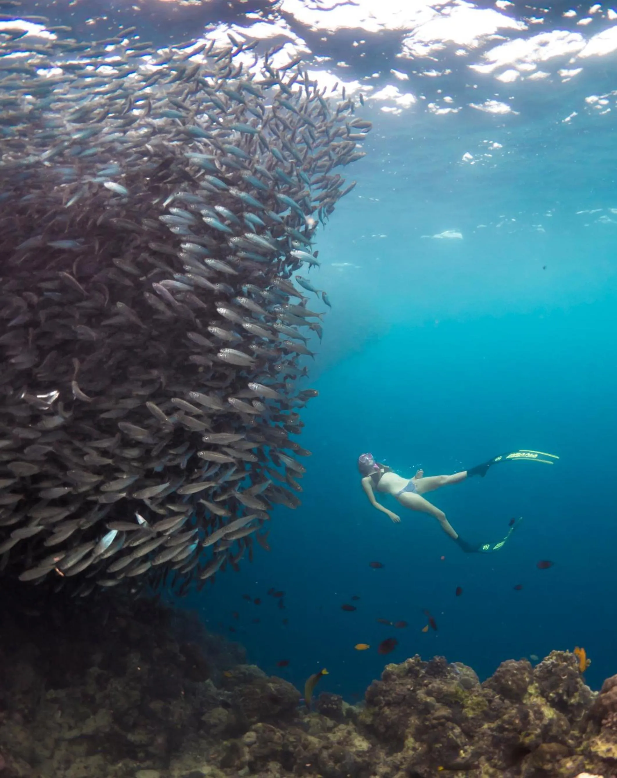 Snorkeling in Six Senses Fiji