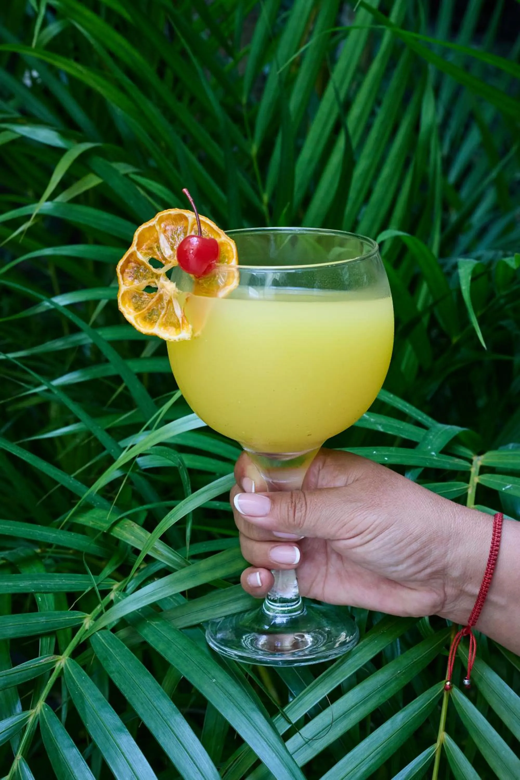 Lounge or bar in El Dorado Classic Hotel