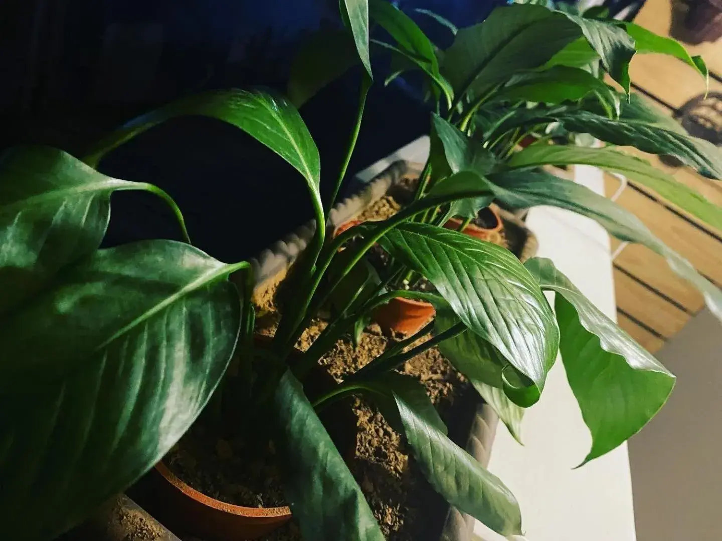 Property building in M Taipei Hotel Property building in M Taipei Hotel