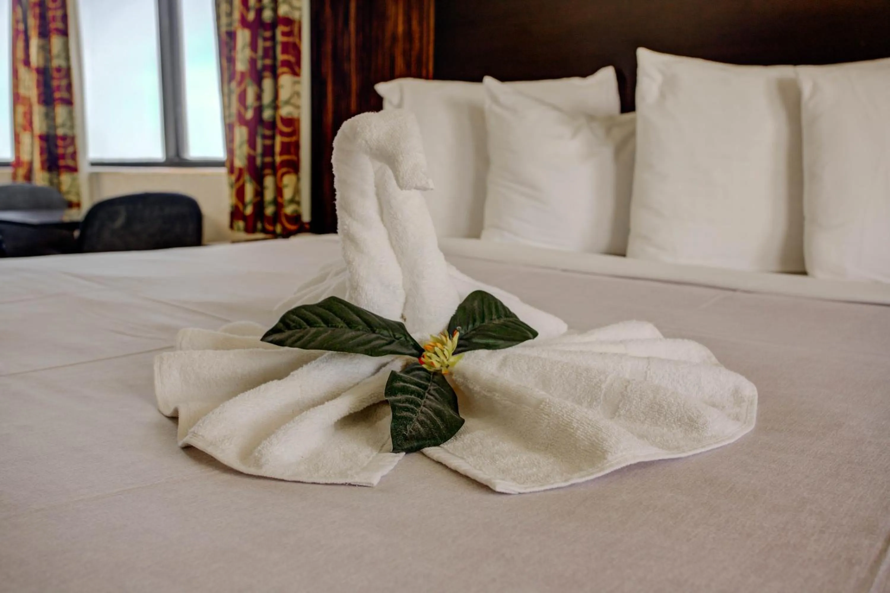 Bed in La Bella Inn - POOL OPEN