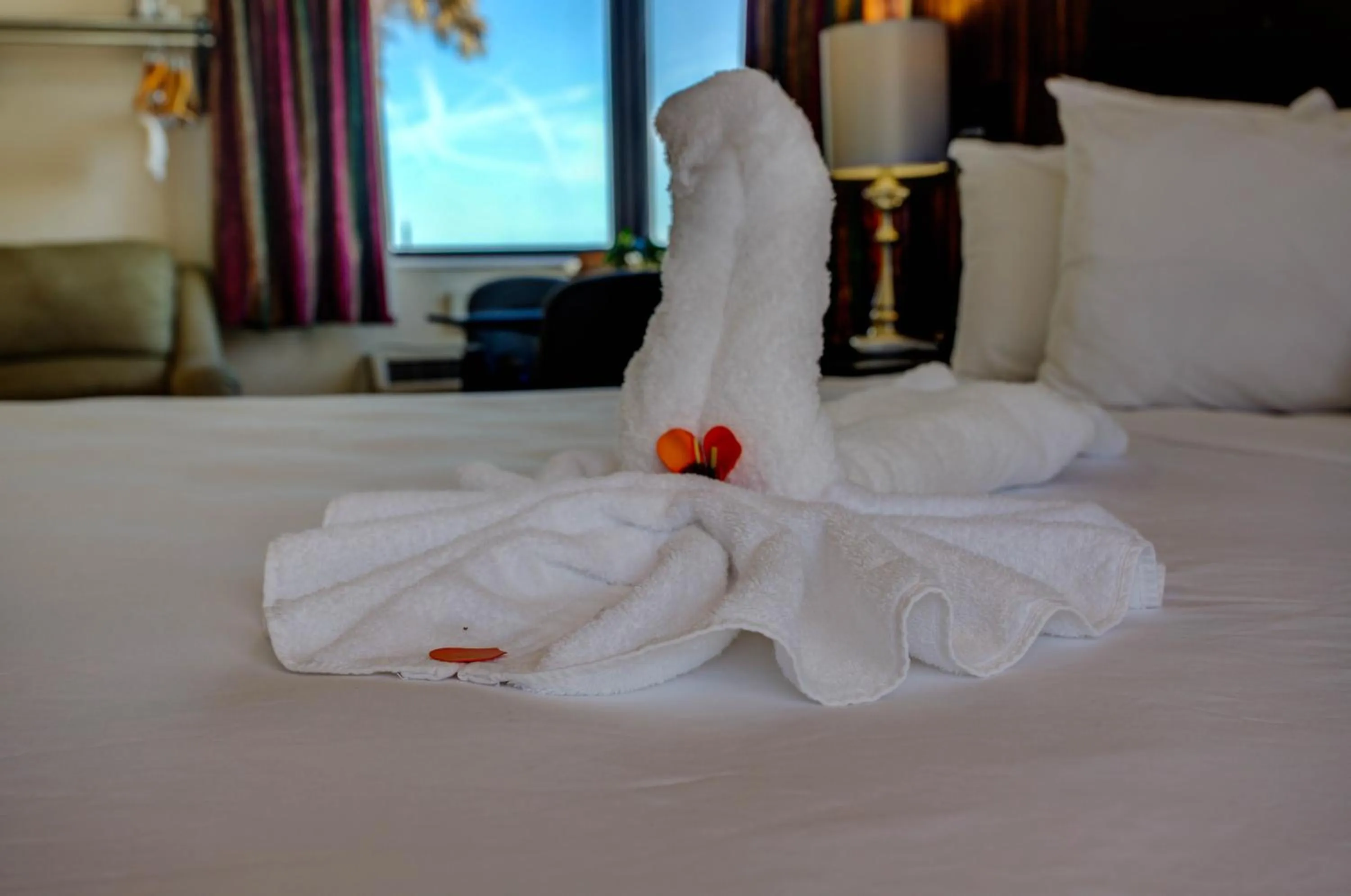 Bed in La Bella Inn - POOL OPEN