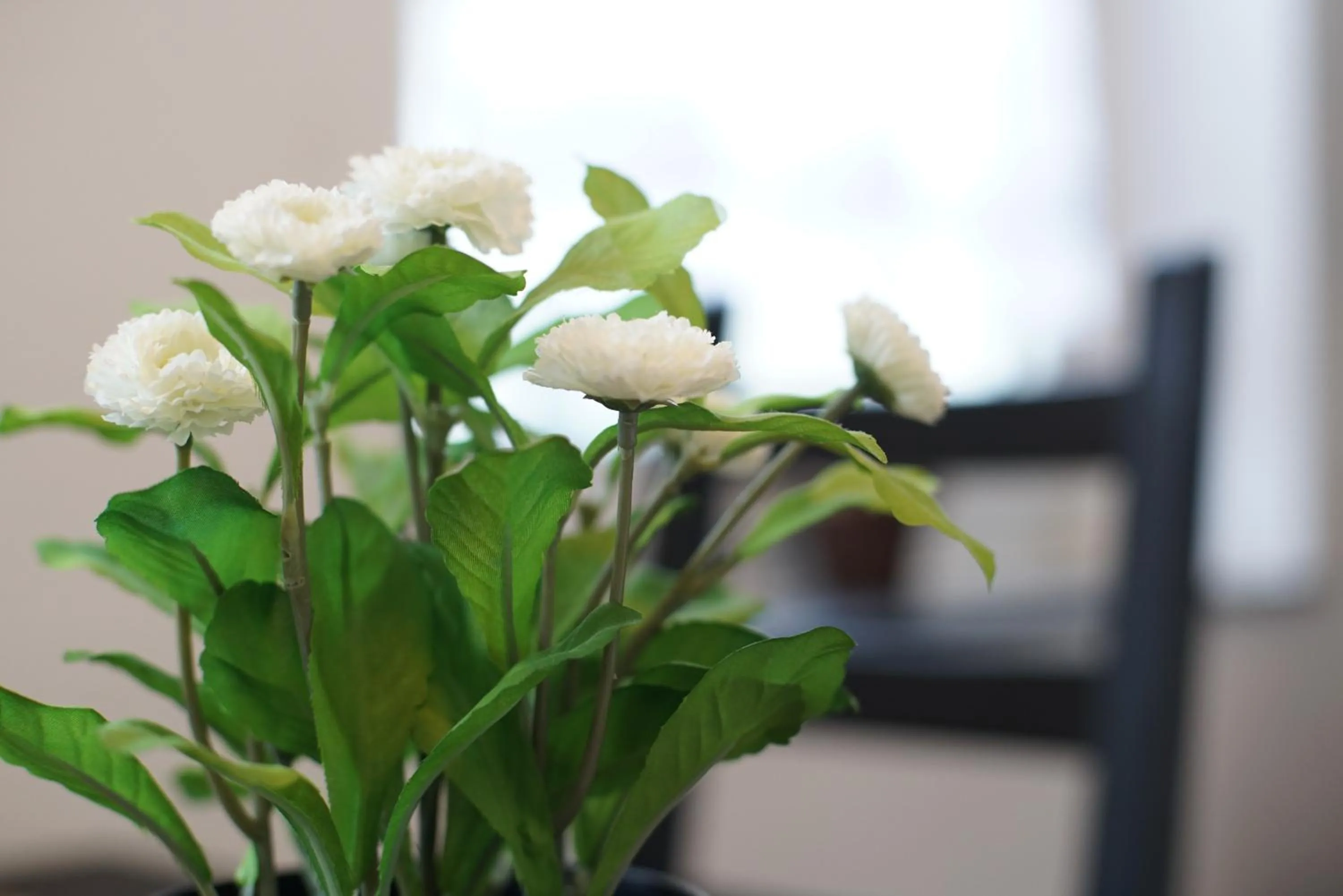 Property building in LiRo Apartments Jägerstrasse Krefeld