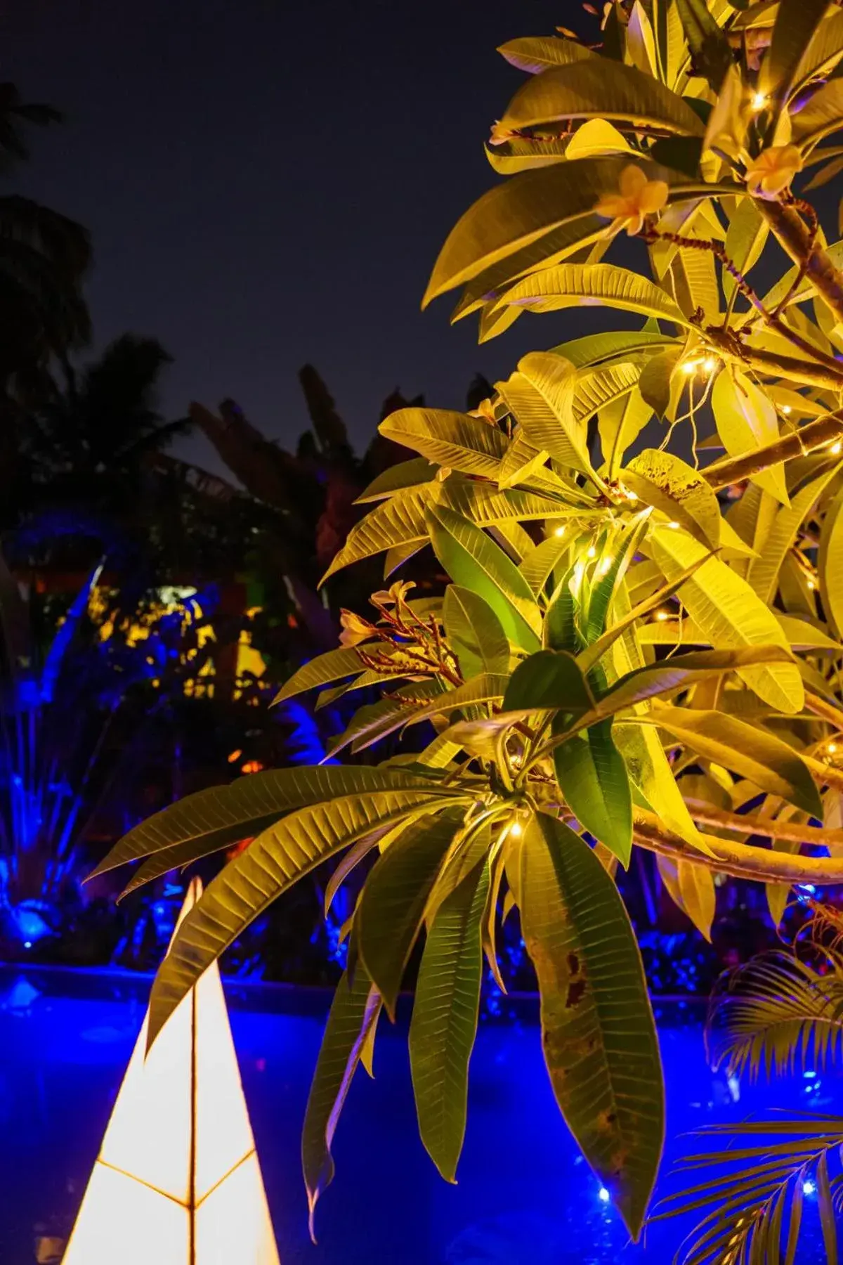 Pool view in The Park Baga River Goa - Adults only Property Pool view in The Park Baga River Goa - Adults only Property