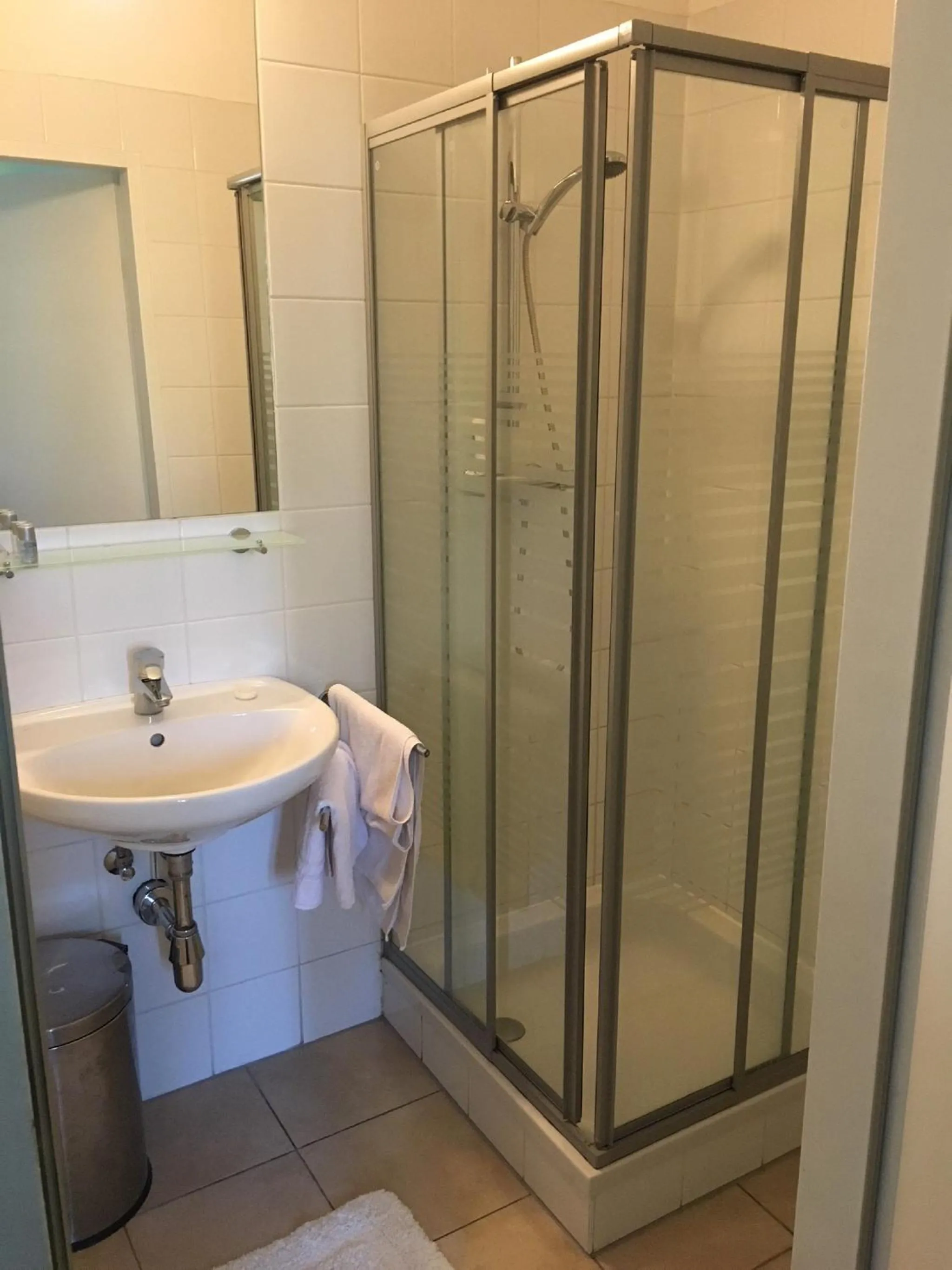 Bathroom in Hotel - Restaurant Valley Rose